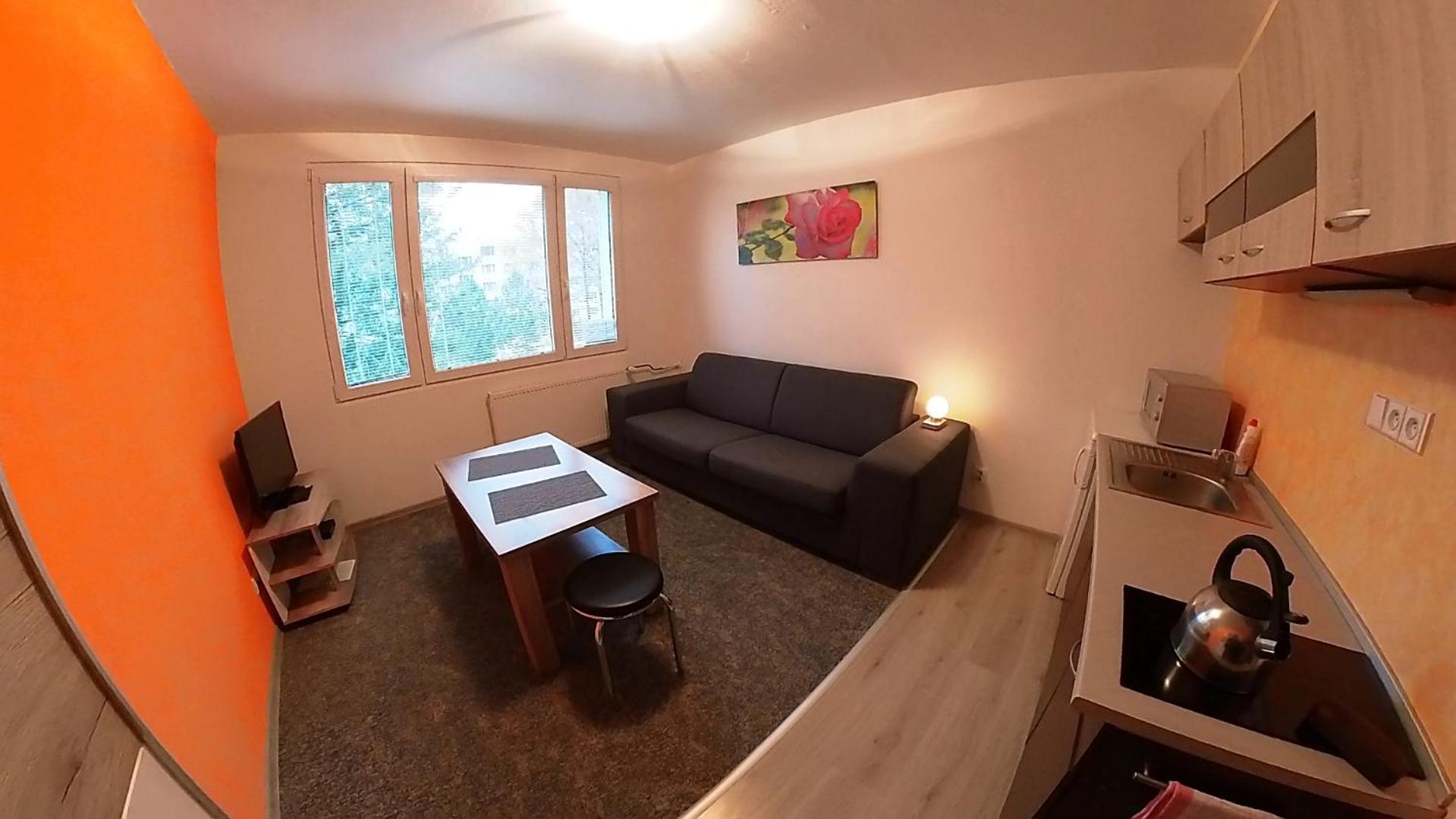 Studio Apartment photo 1