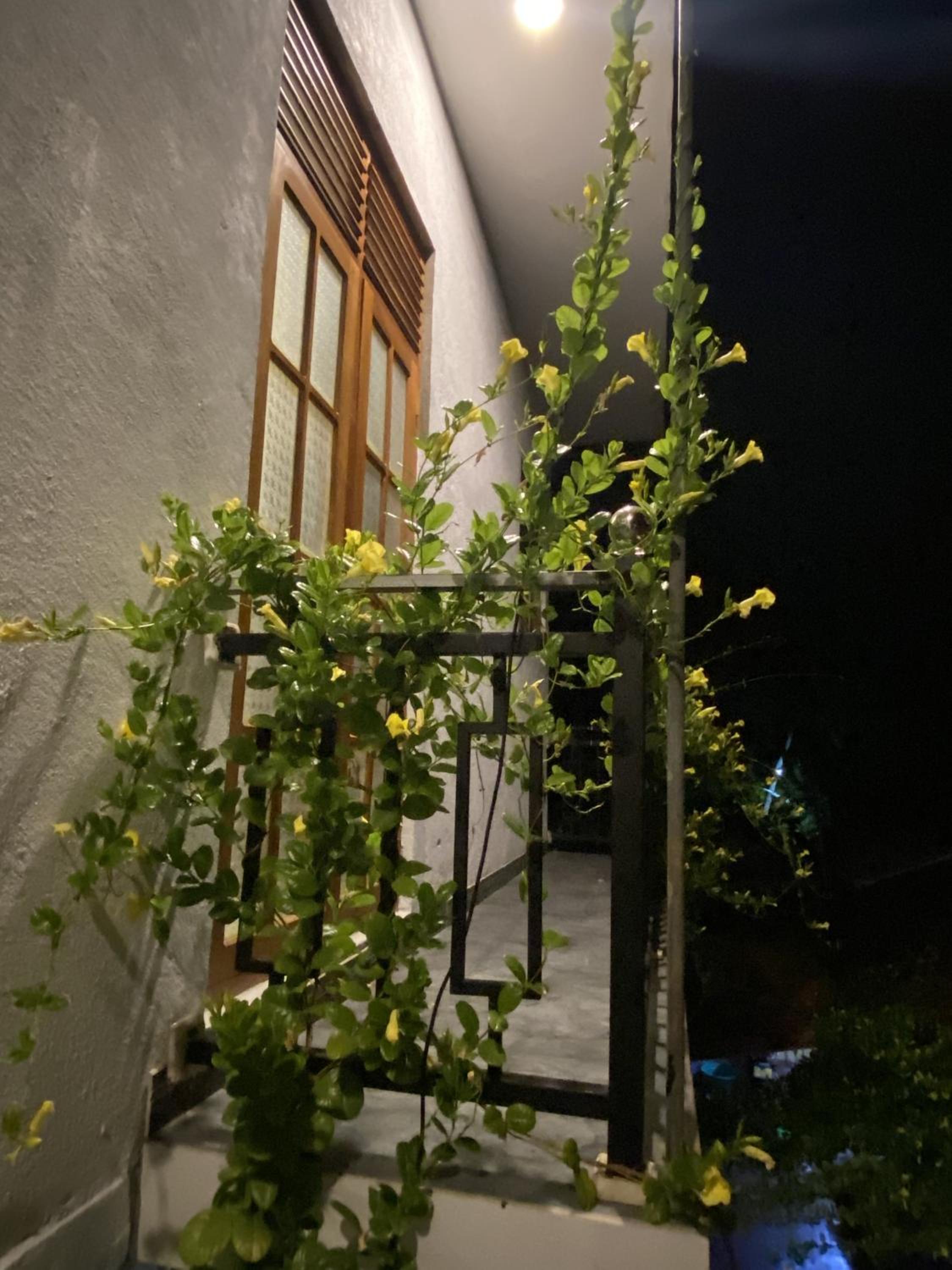 Apartment with Balcony photo 3