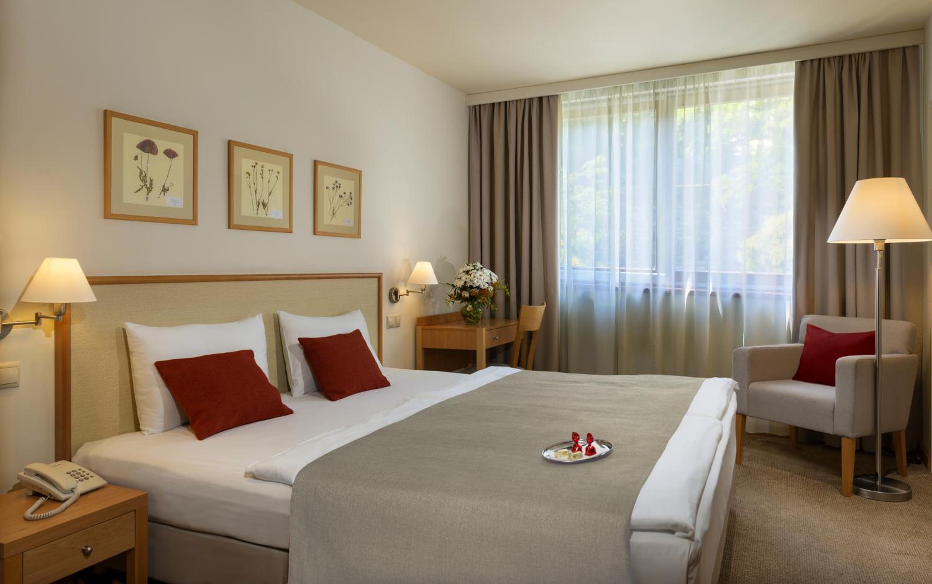 Standard Double Room - Photo 8