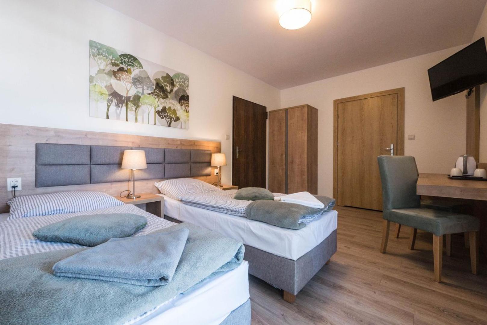 Deluxe Double or Twin Room with Mountain View