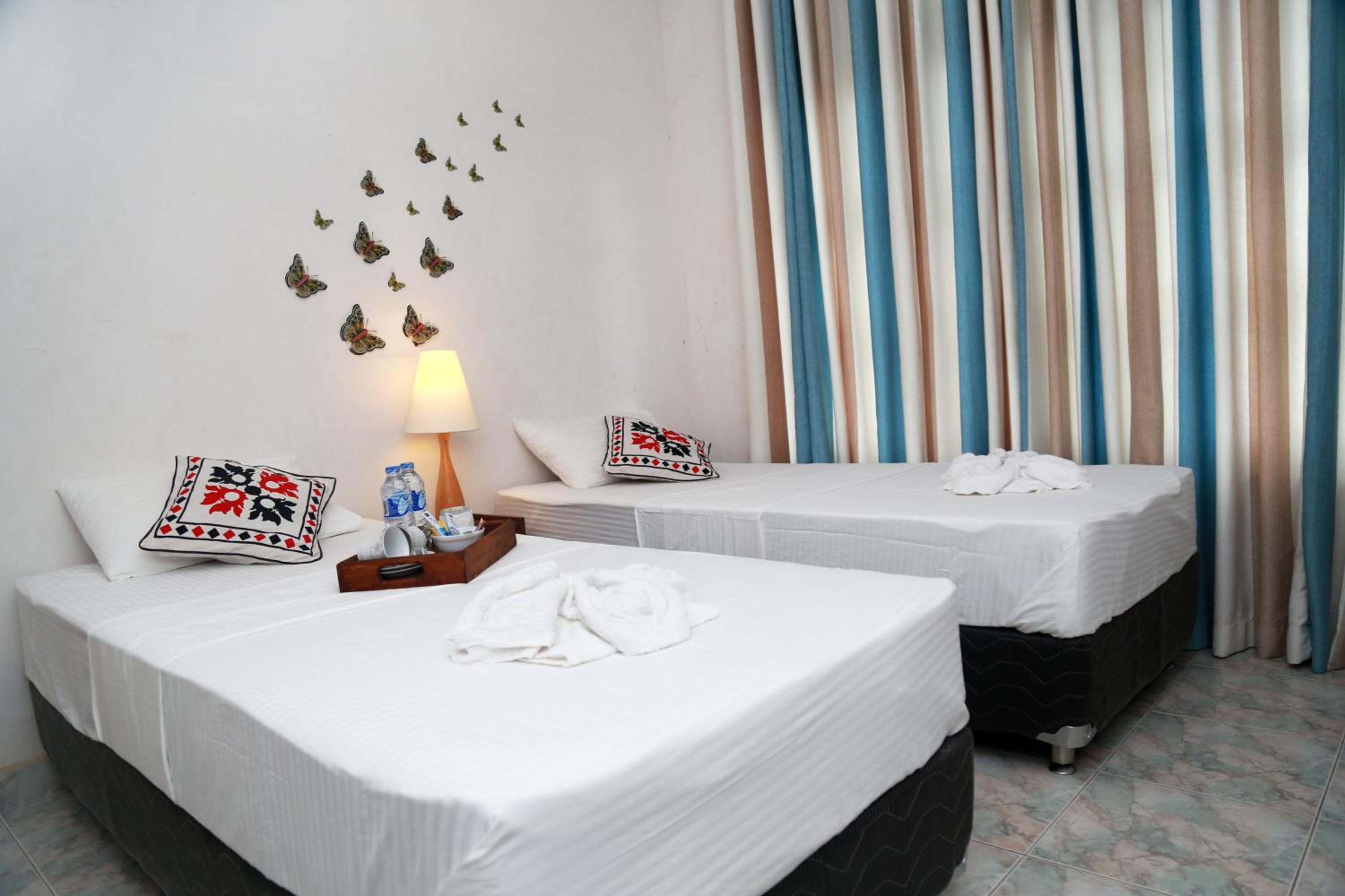 Deluxe Double or Twin Room photo 1