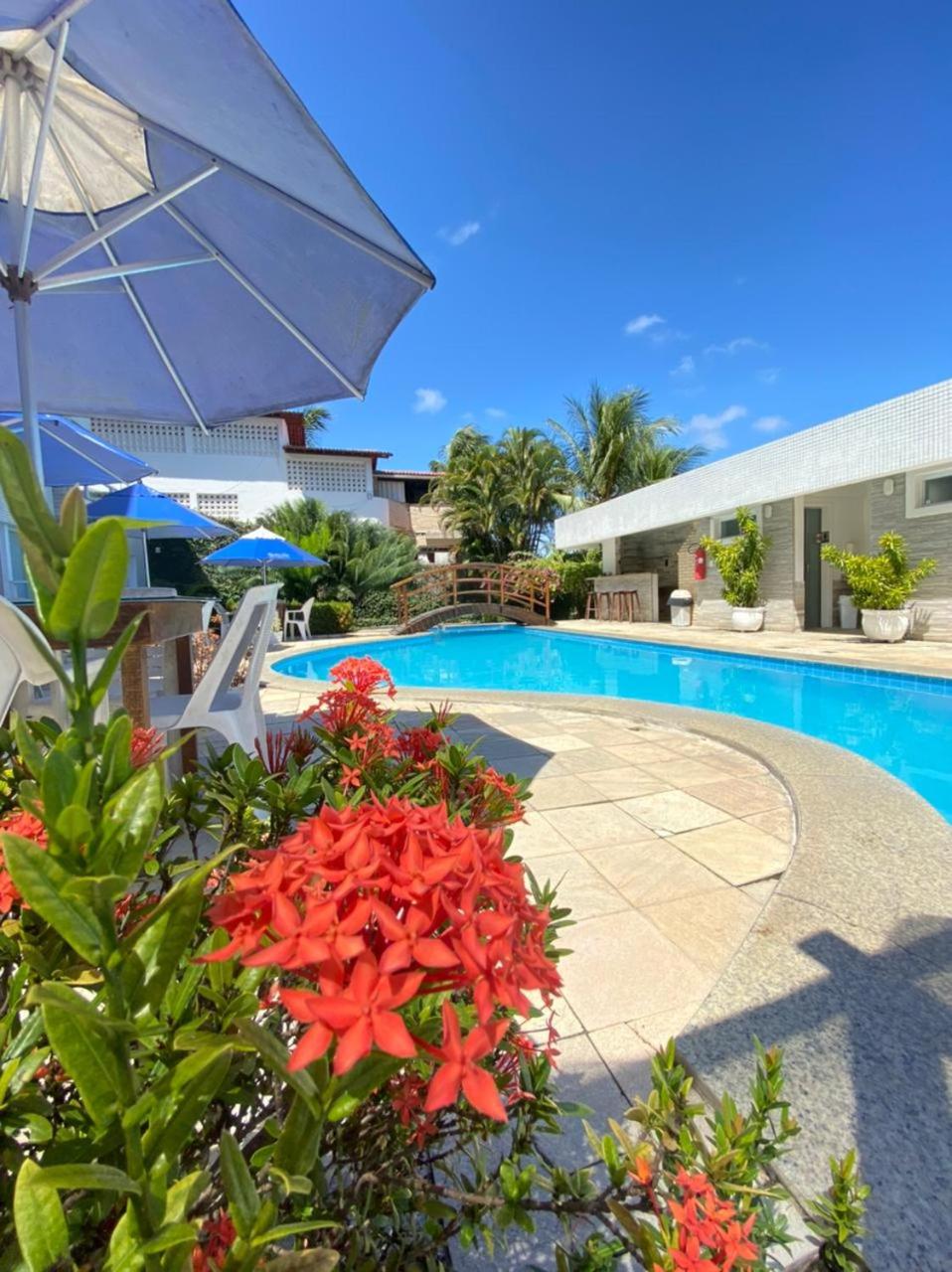 Double Room with Pool View photo 2