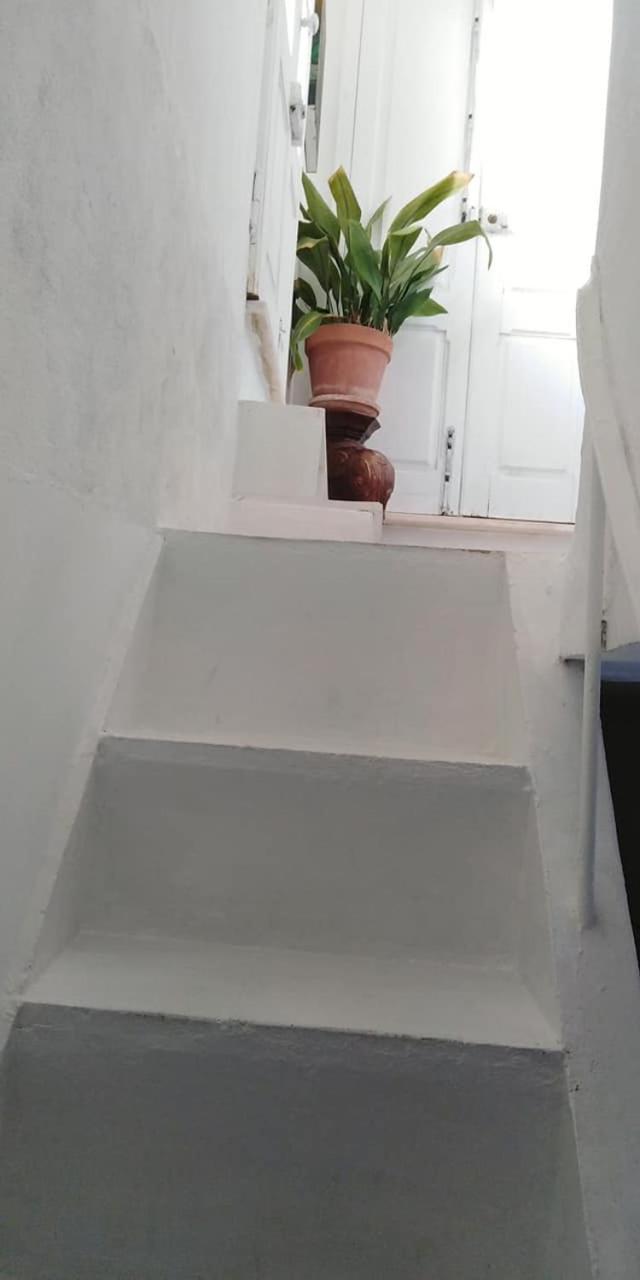Standard Suite - Photo 8