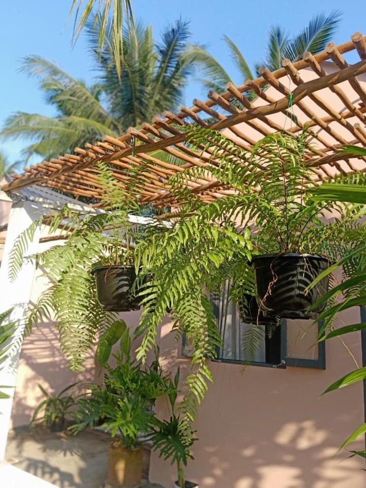 Triple Room with Garden View photo 3
