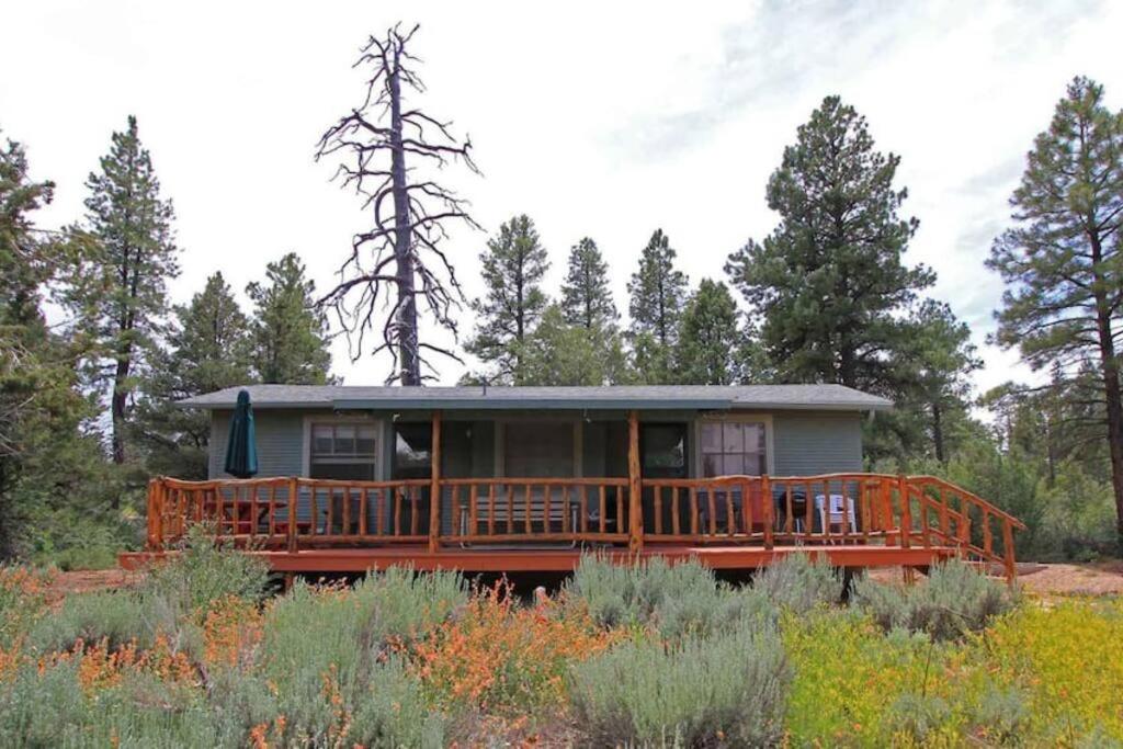 One-Bedroom House photo 3