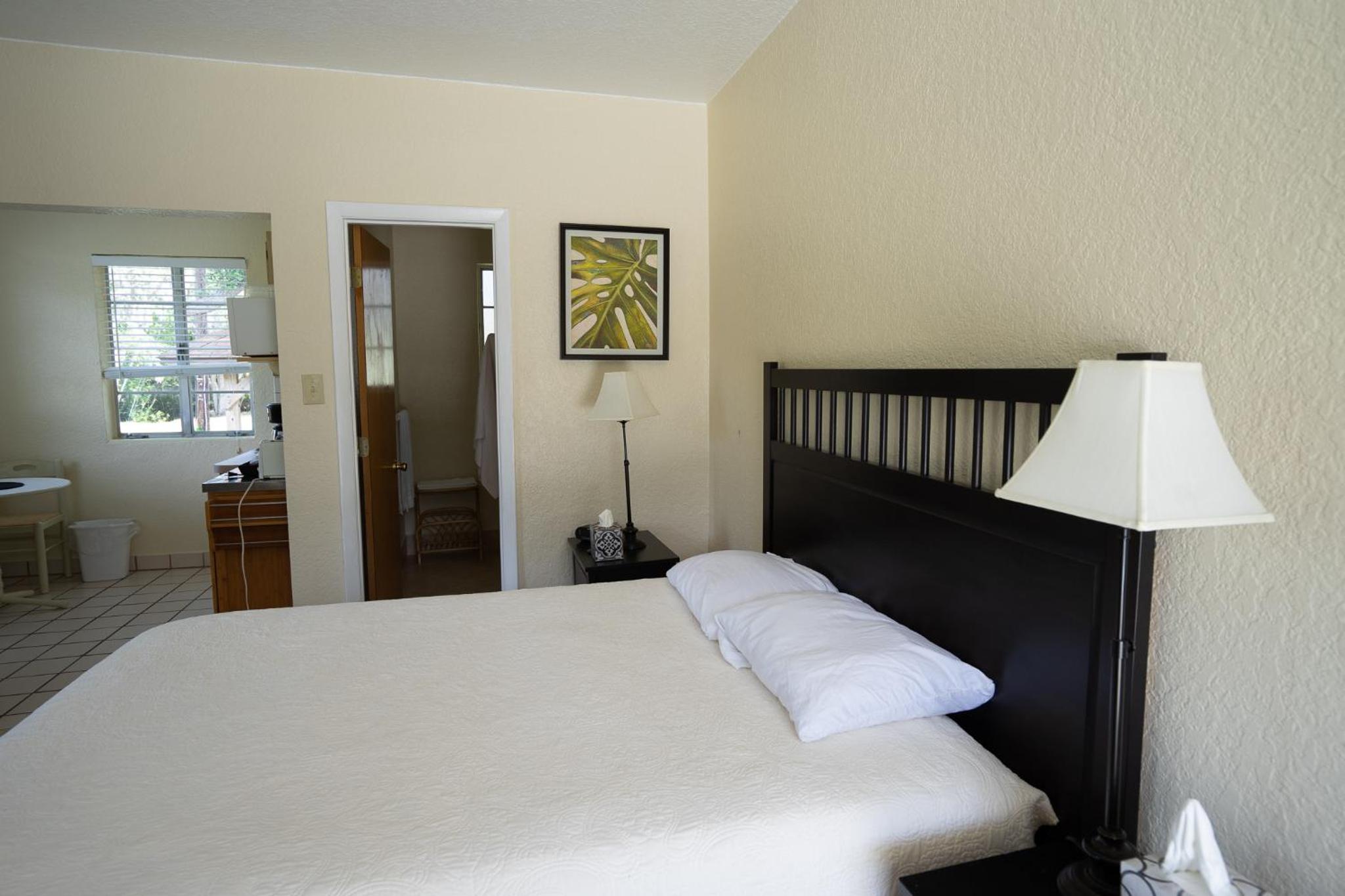 Deluxe Queen Suite - Photo 2