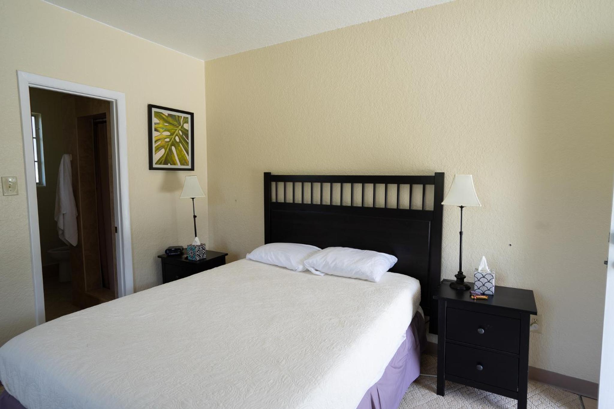 Deluxe Queen Suite - Photo 6