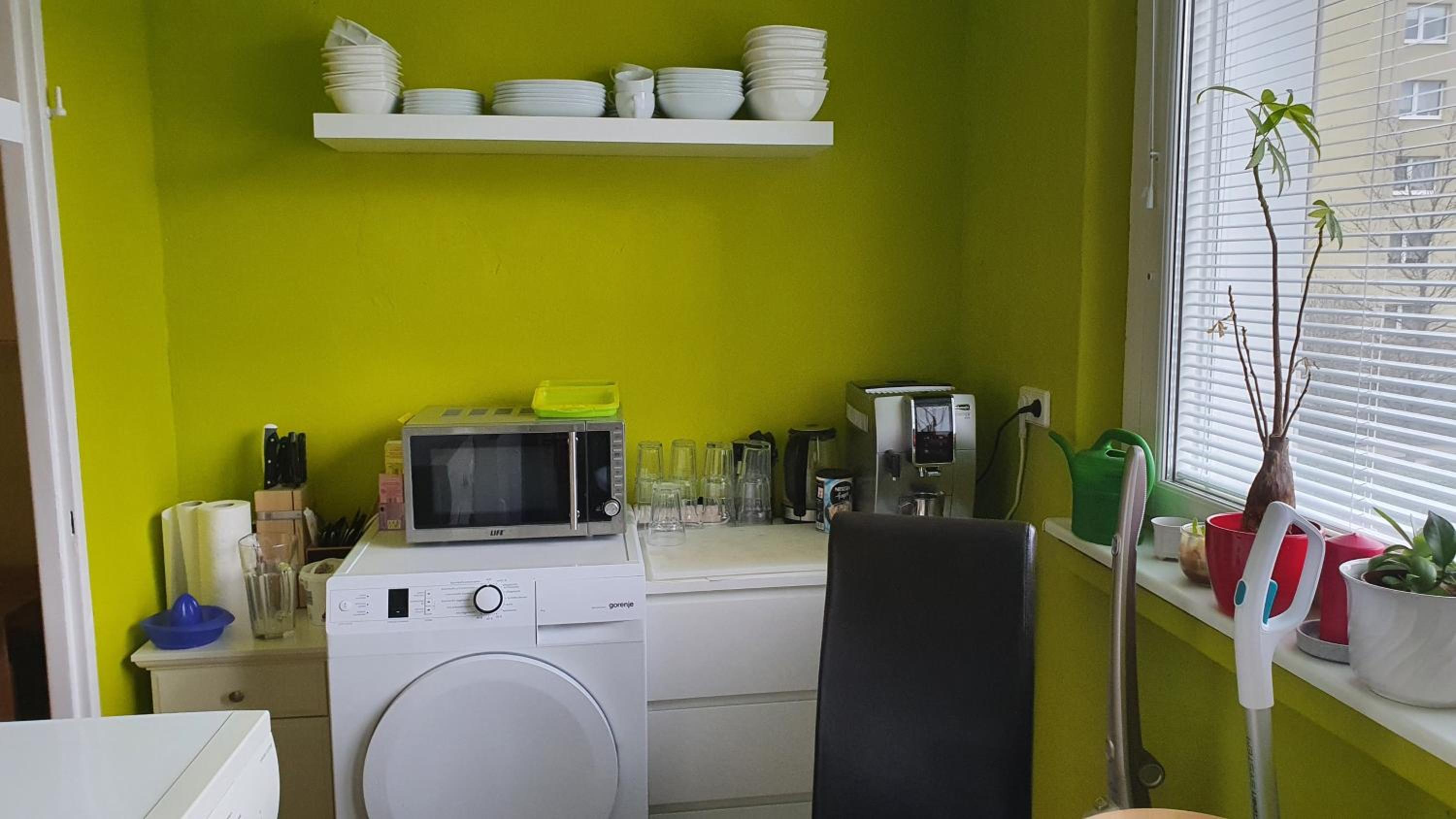 One-Bedroom Apartment photo 3
