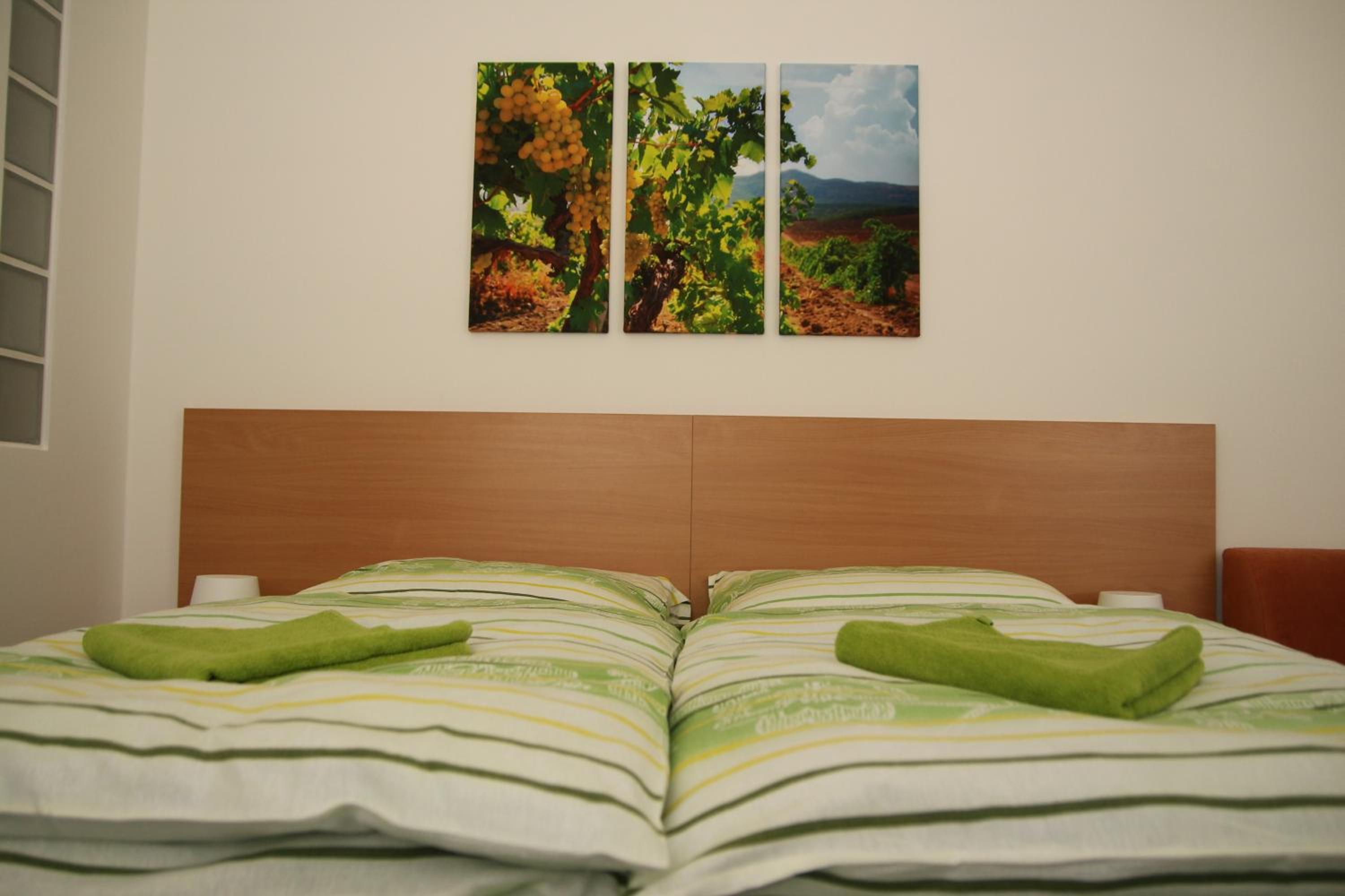 Double or Twin Room with Kitchenette photo 2