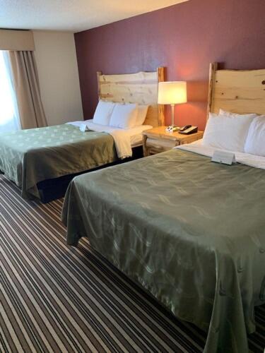 Queen Room with Two Queen Beds - Disability Access - Roll In Shower - Photo 1