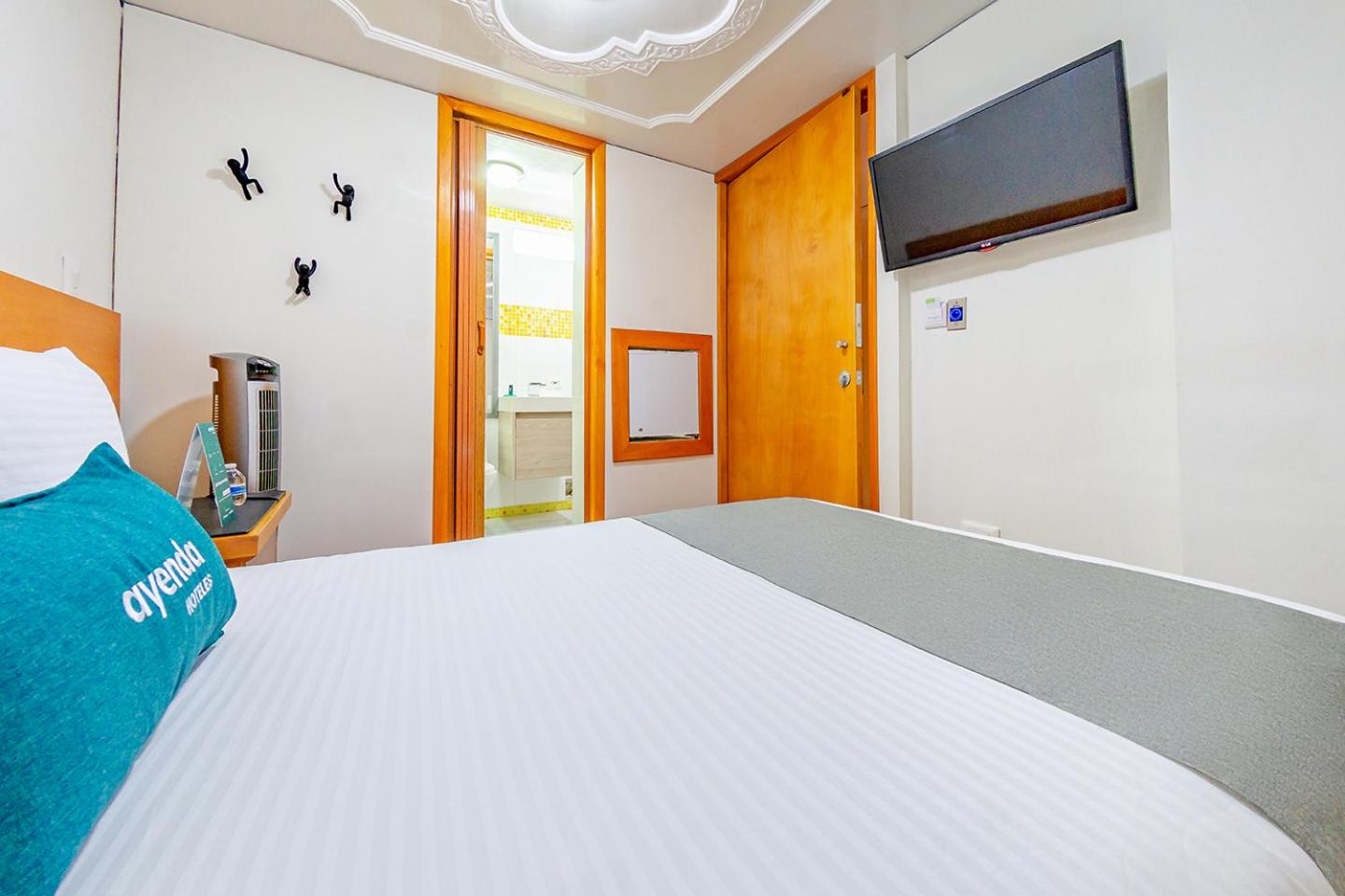 Single Room photo 3