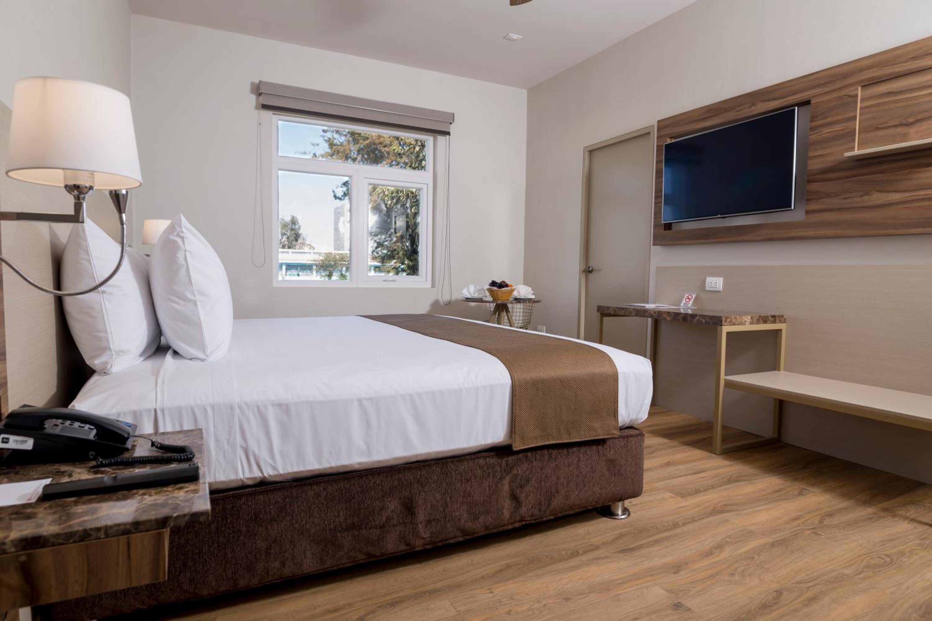 Double Room photo 3