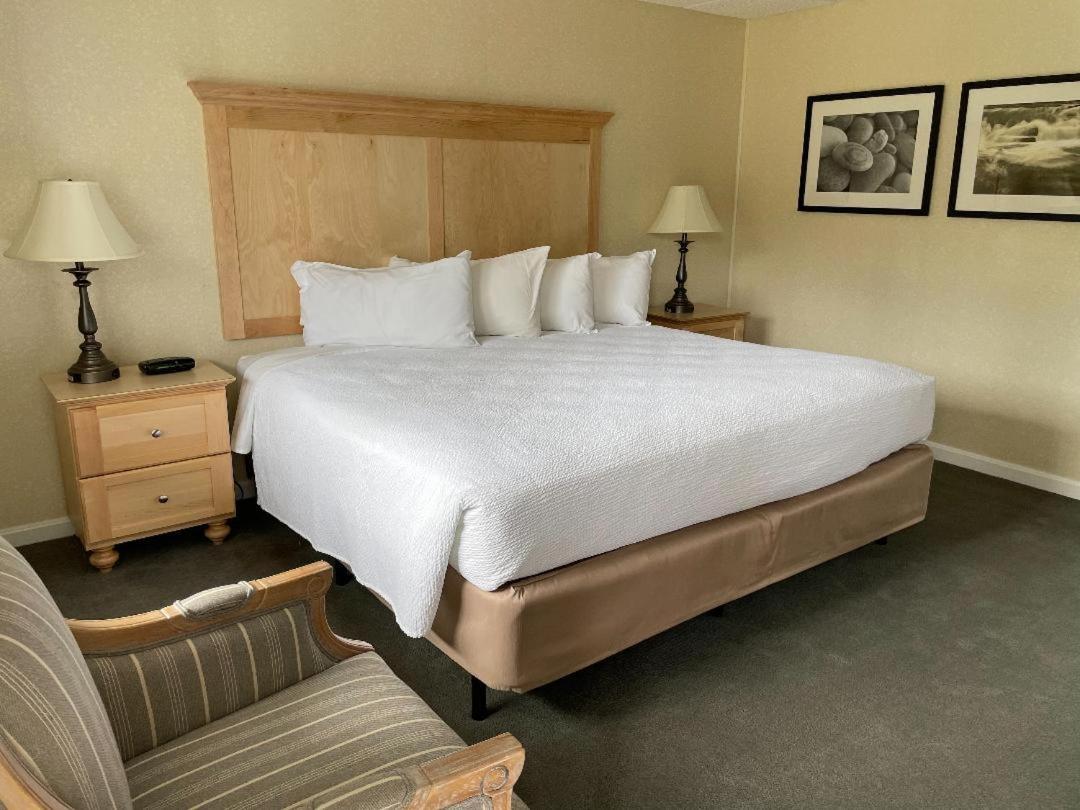 Motel Room 1