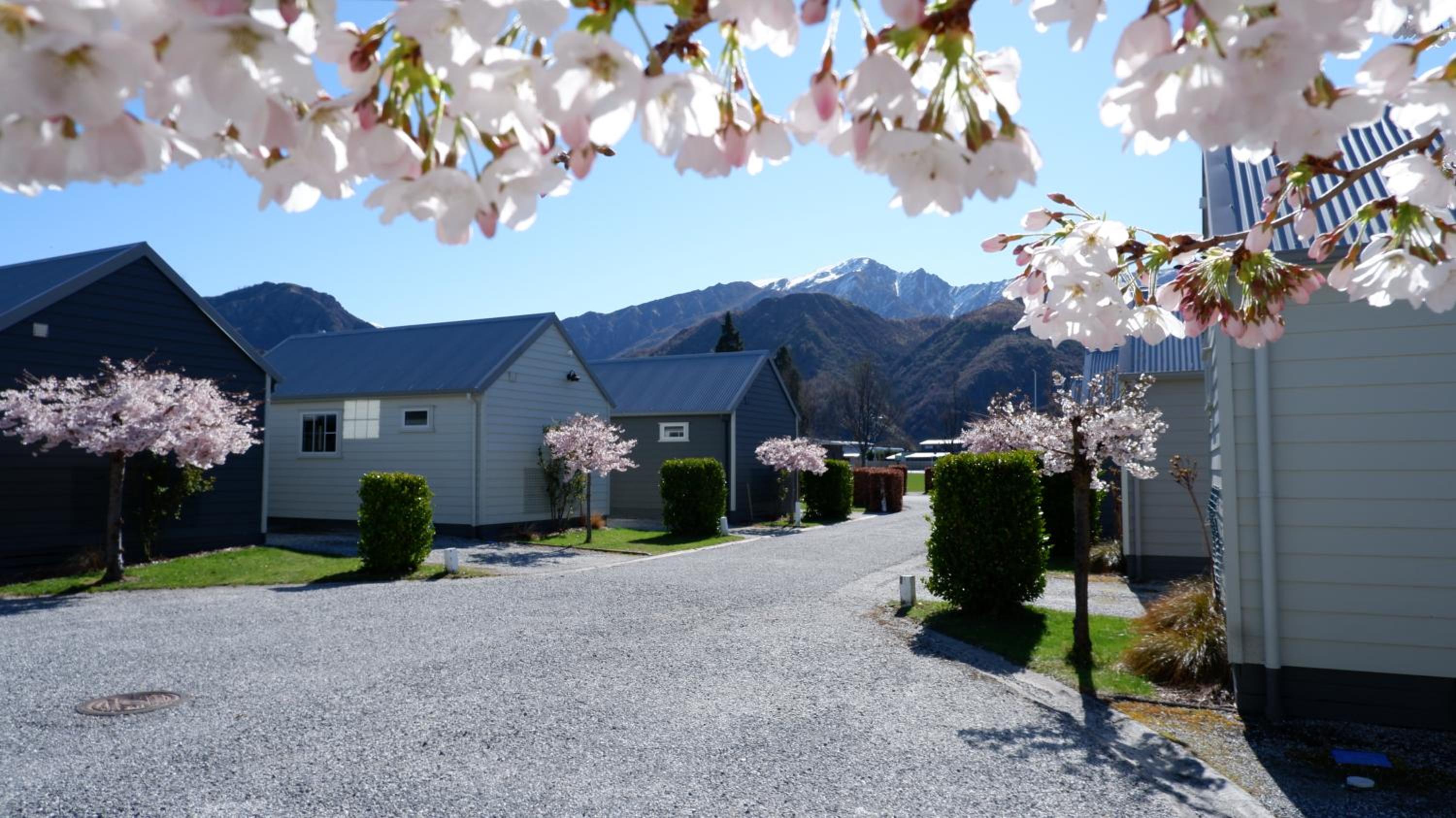 Standard Mountain View 1 Bedroom Cabin photo 3