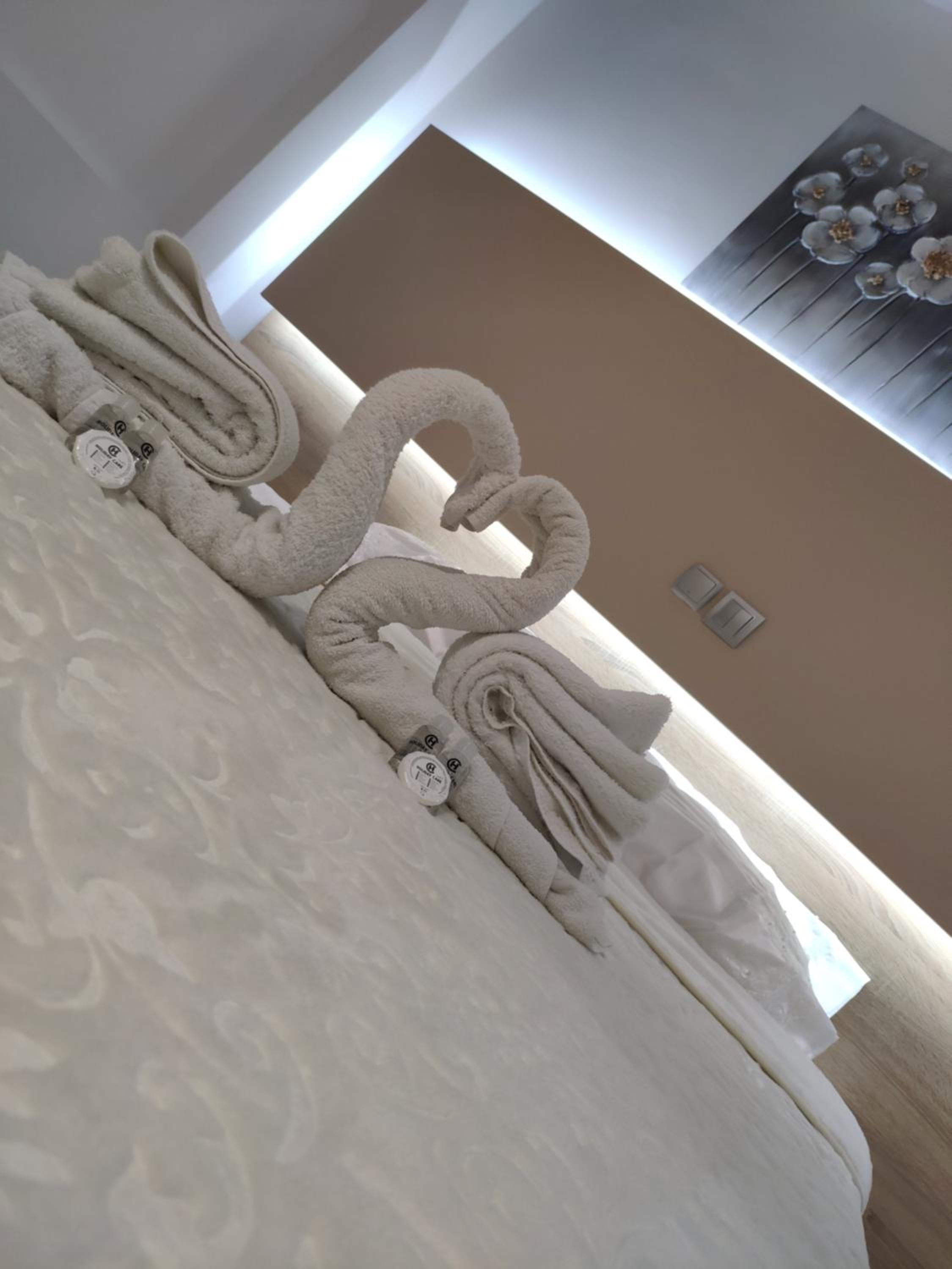 Large Single Room photo 3