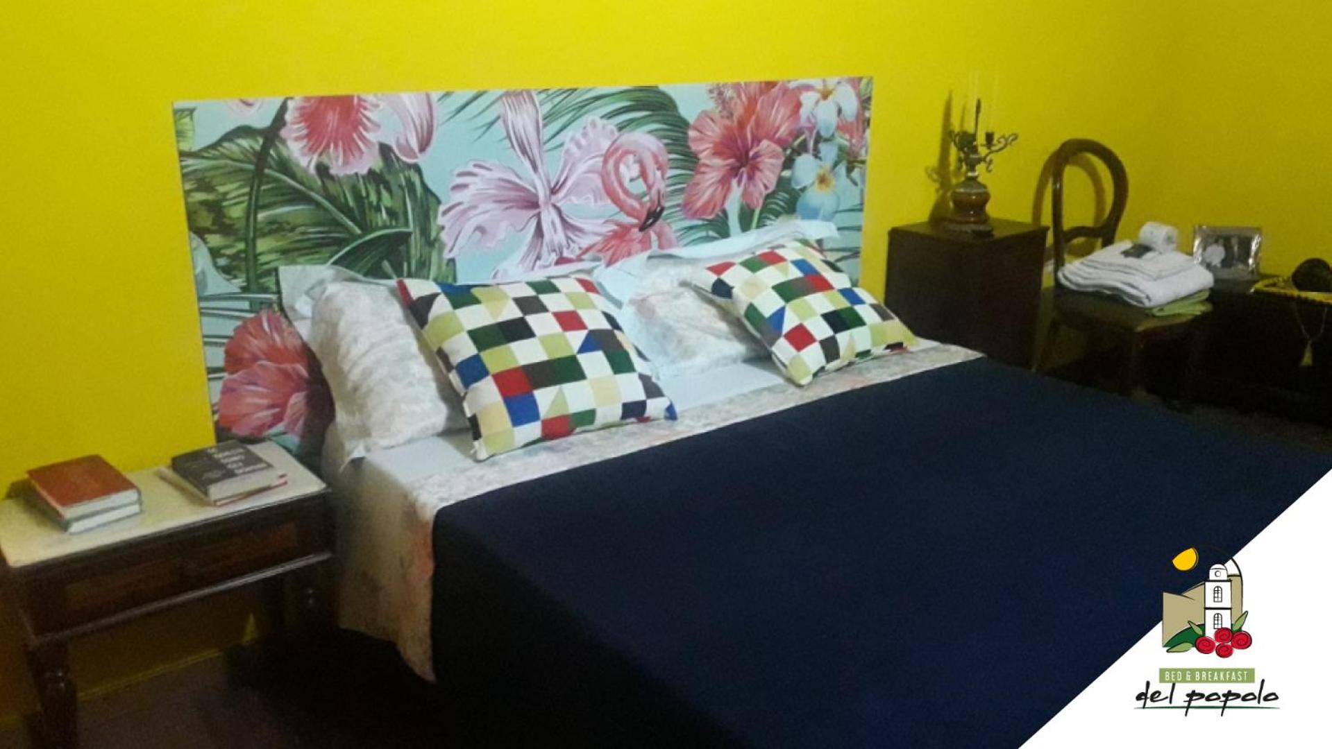 Double Room with Shared Bathroom