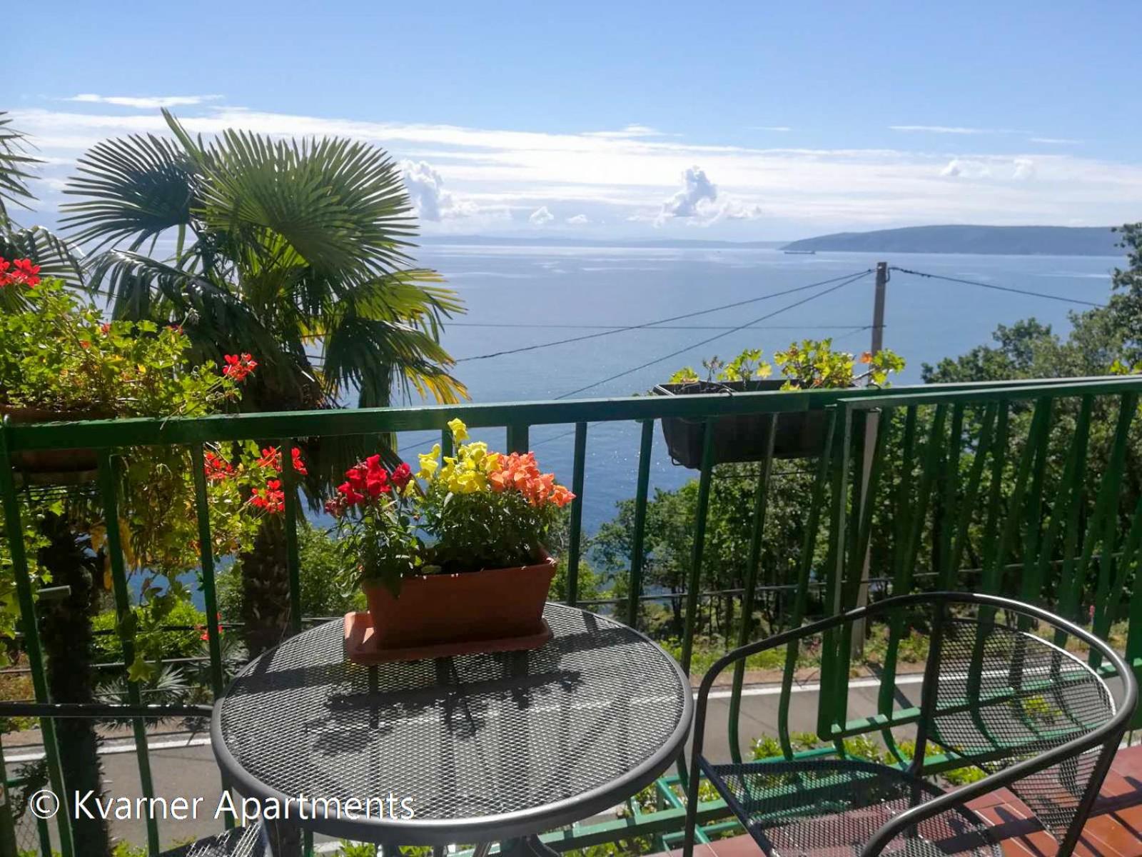 Apartment with Sea View photo 2