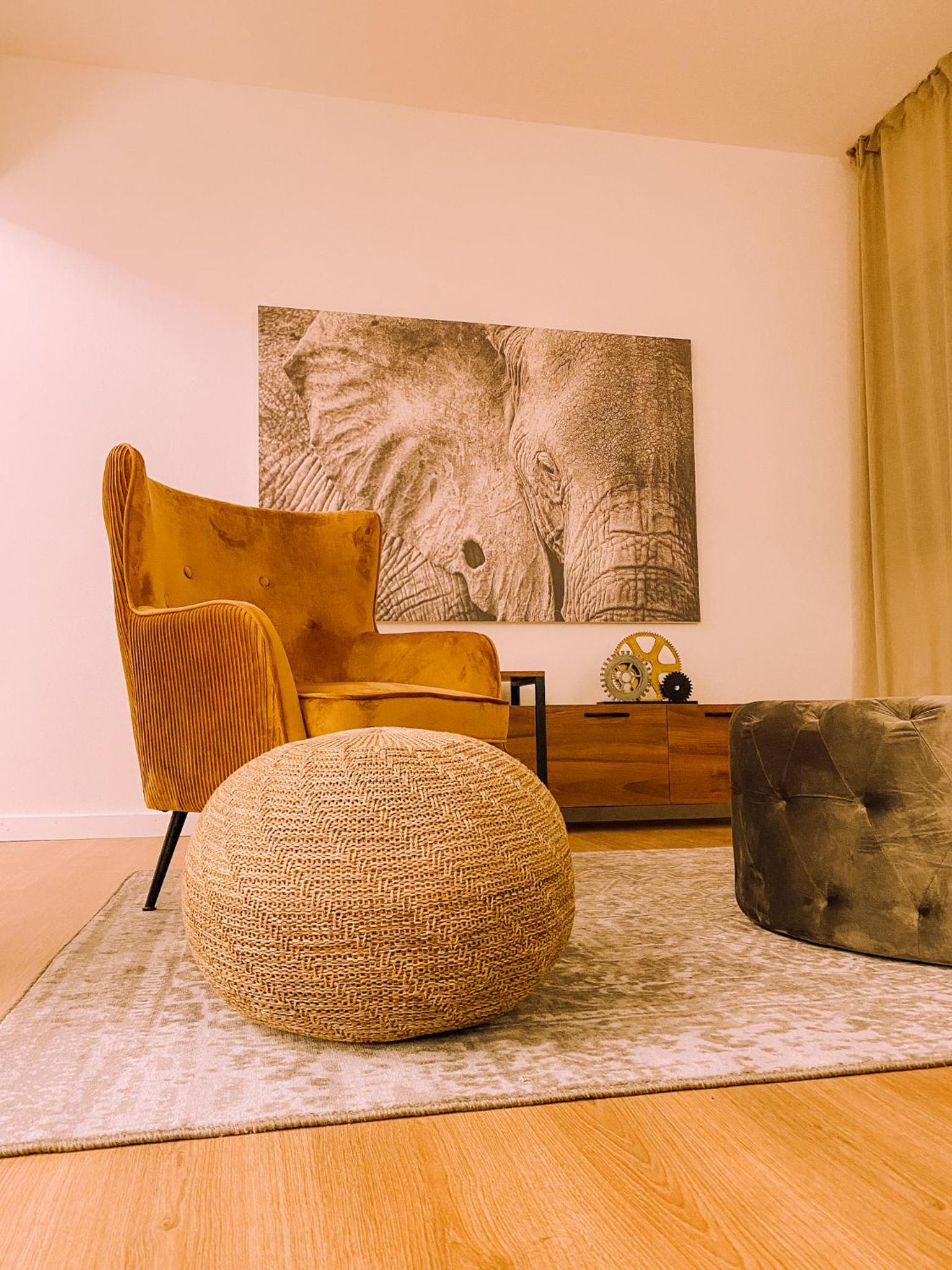 Apartment - Photo 3
