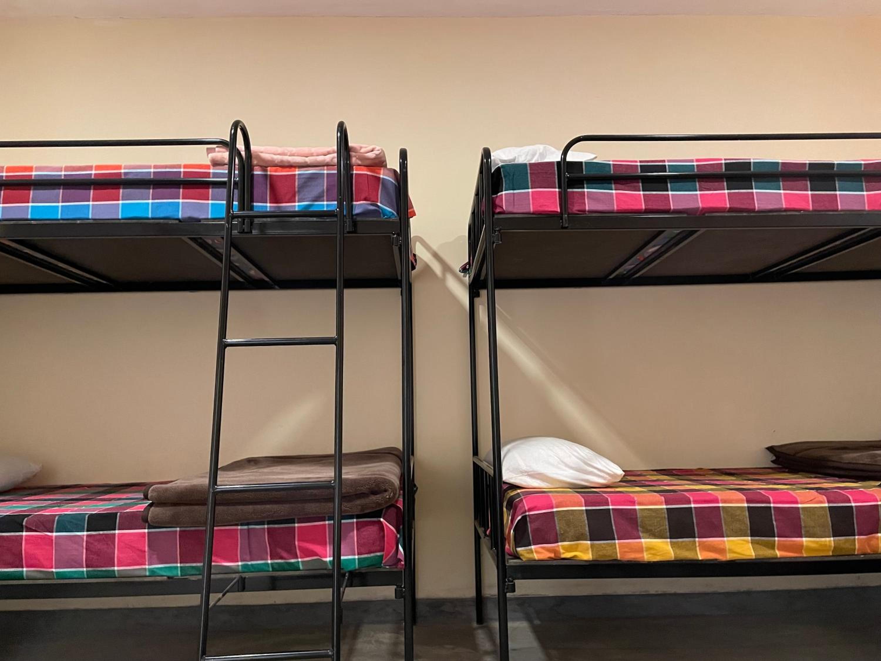 Bunk Bed in Female Dormitory Room   photo 3