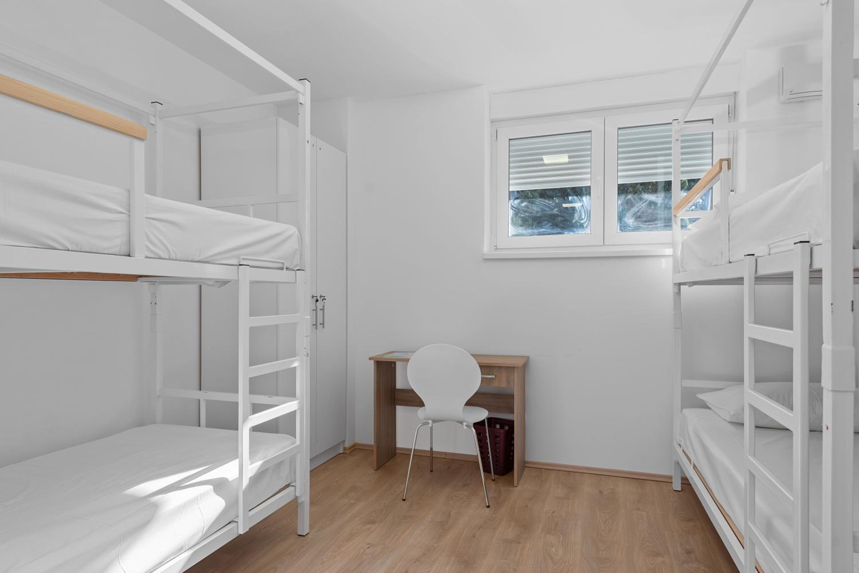Bunk Bed in Mixed Dormitory Room
