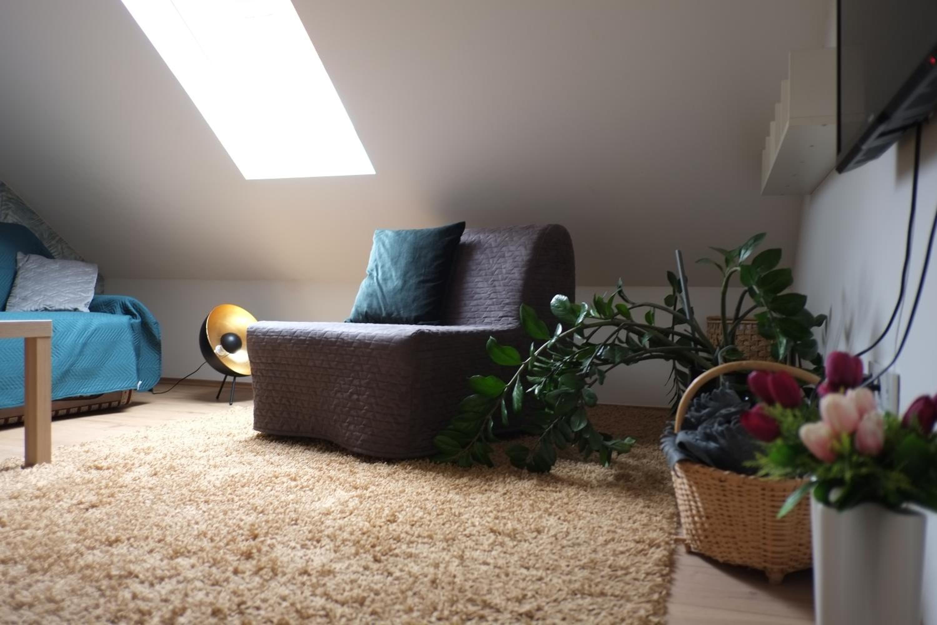 One-Bedroom Apartment - Photo 5