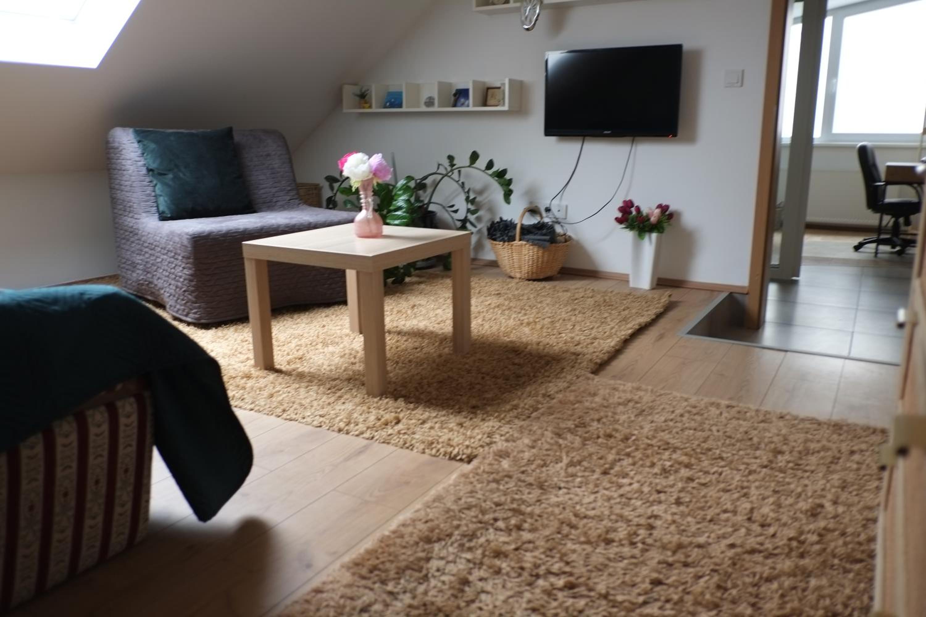 One-Bedroom Apartment - Photo 2