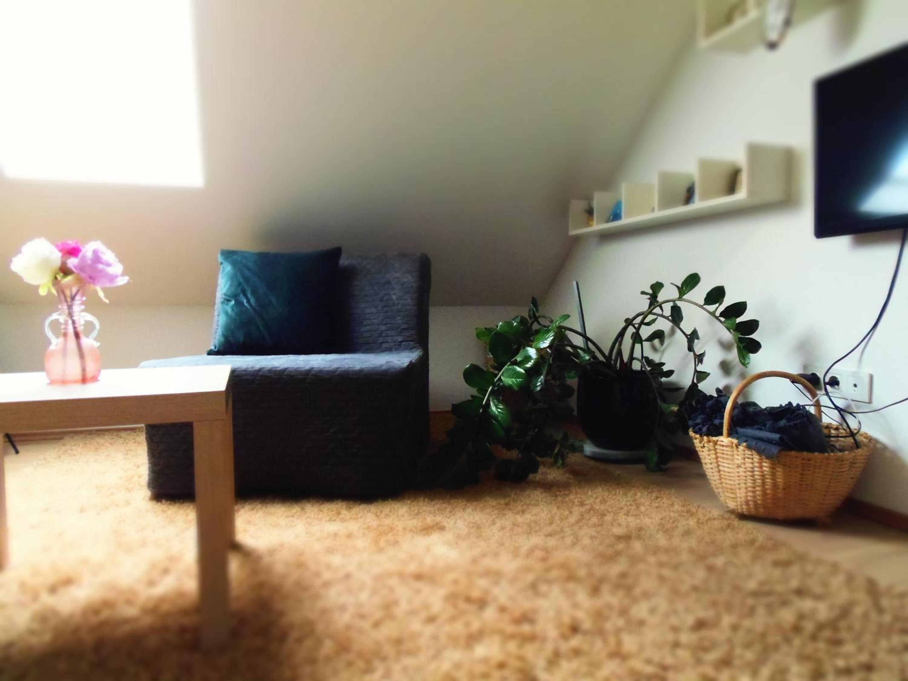One-Bedroom Apartment - Photo 81