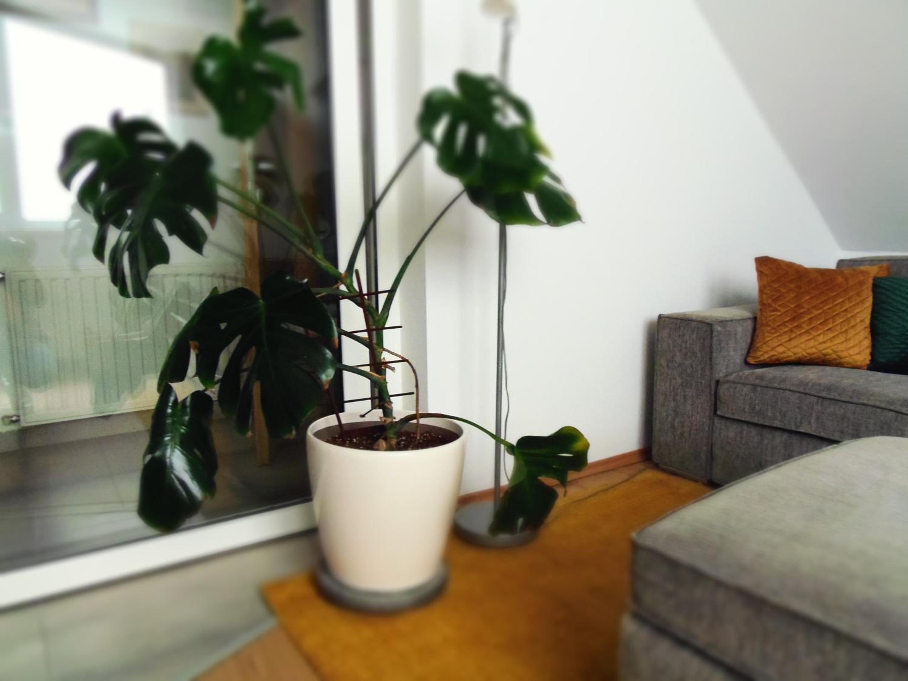 One-Bedroom Apartment - Photo 68