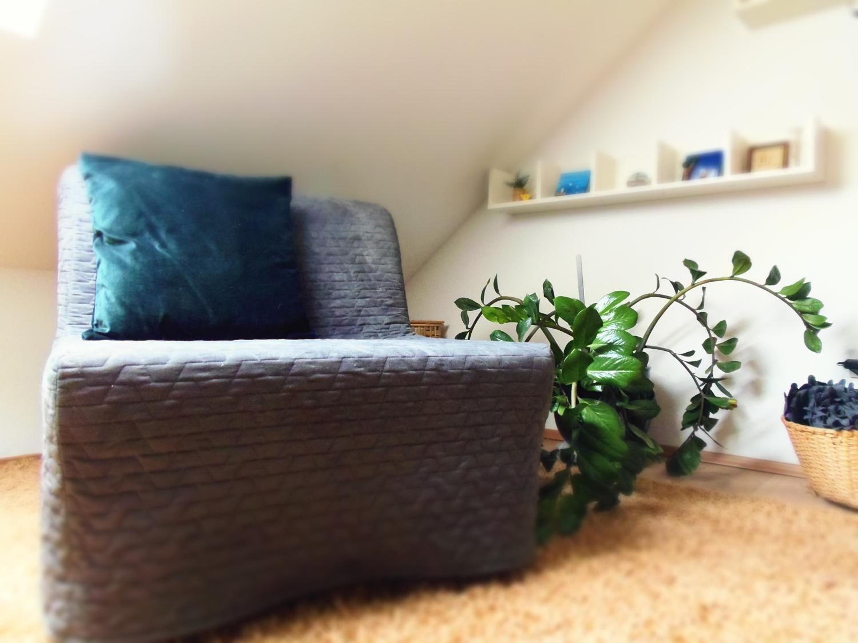 One-Bedroom Apartment - Photo 30