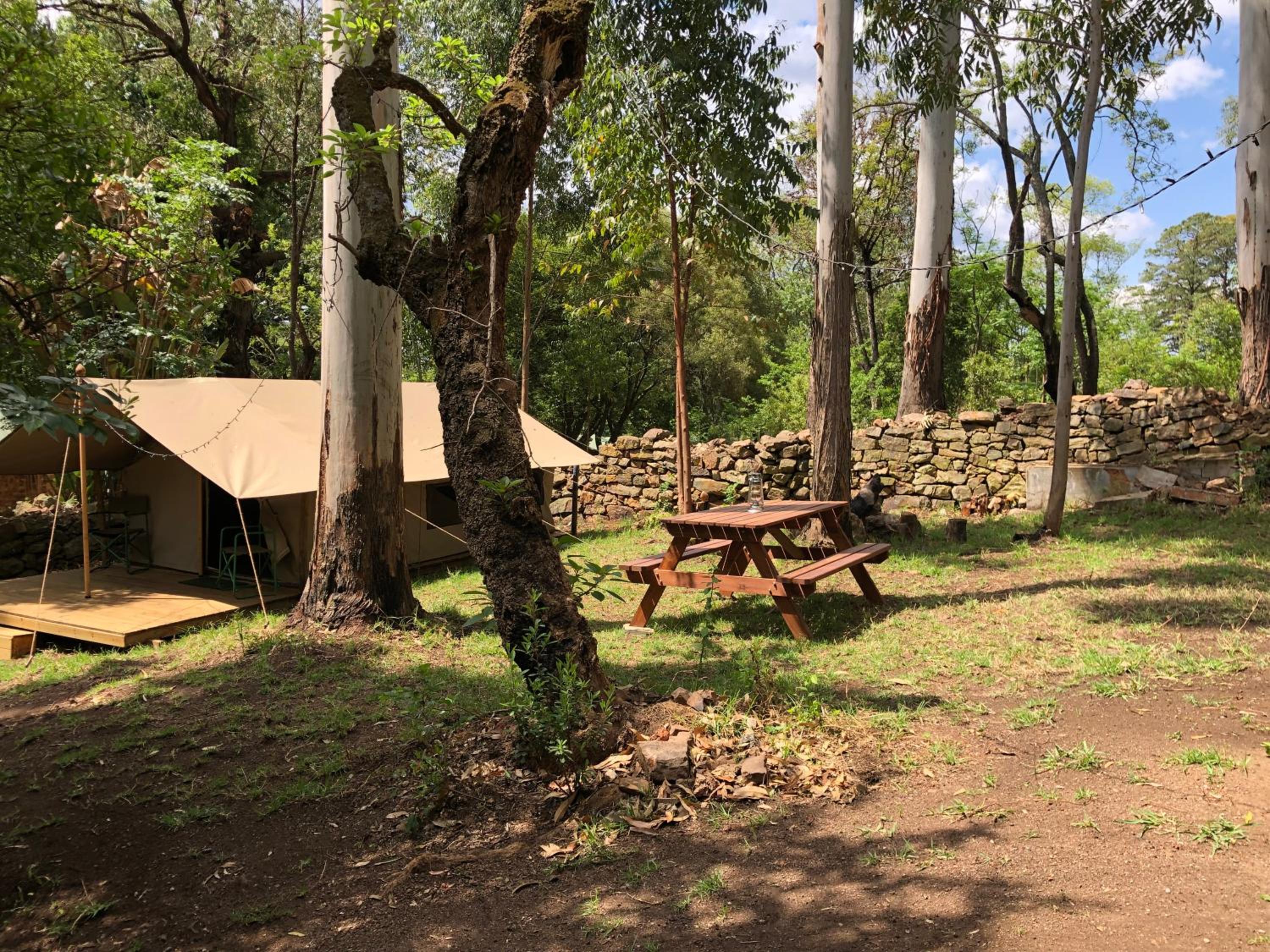 Tent - Photo 8