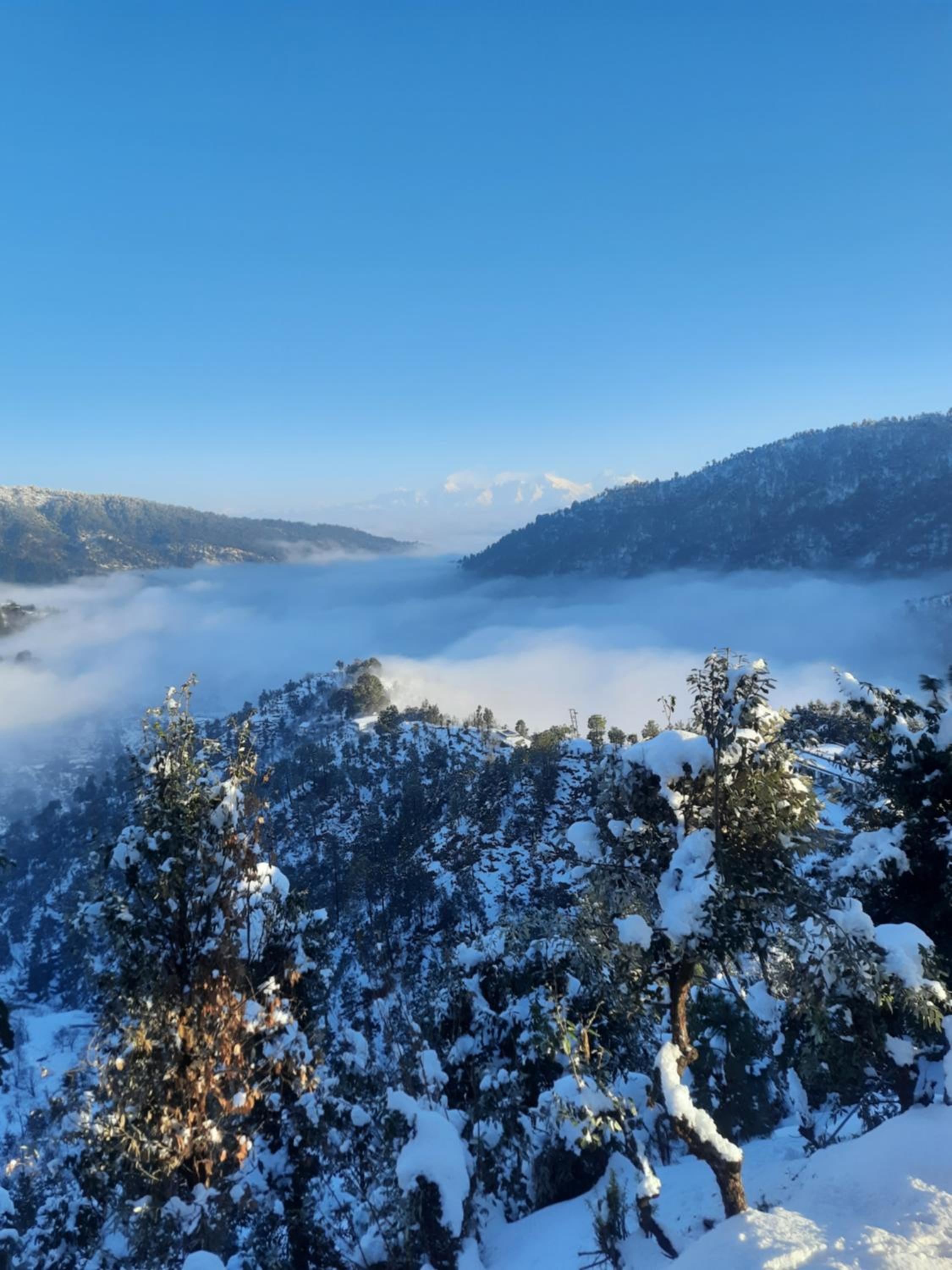 Himalayan View with Balcony photo 2
