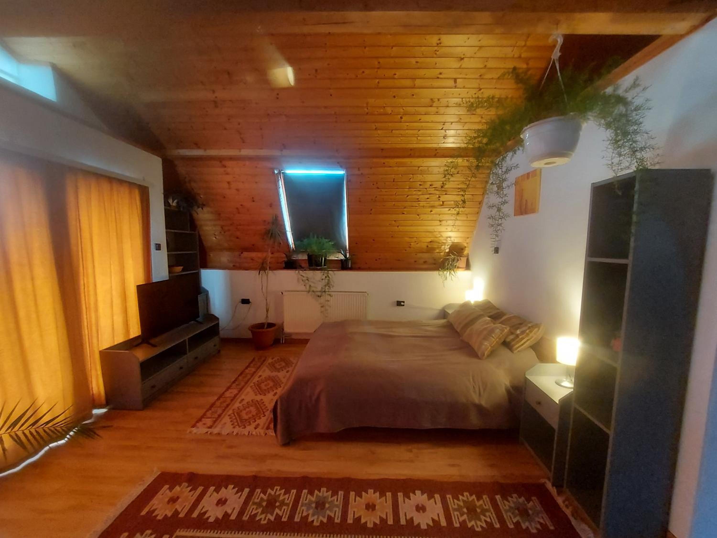 One-Bedroom Apartment photo 3