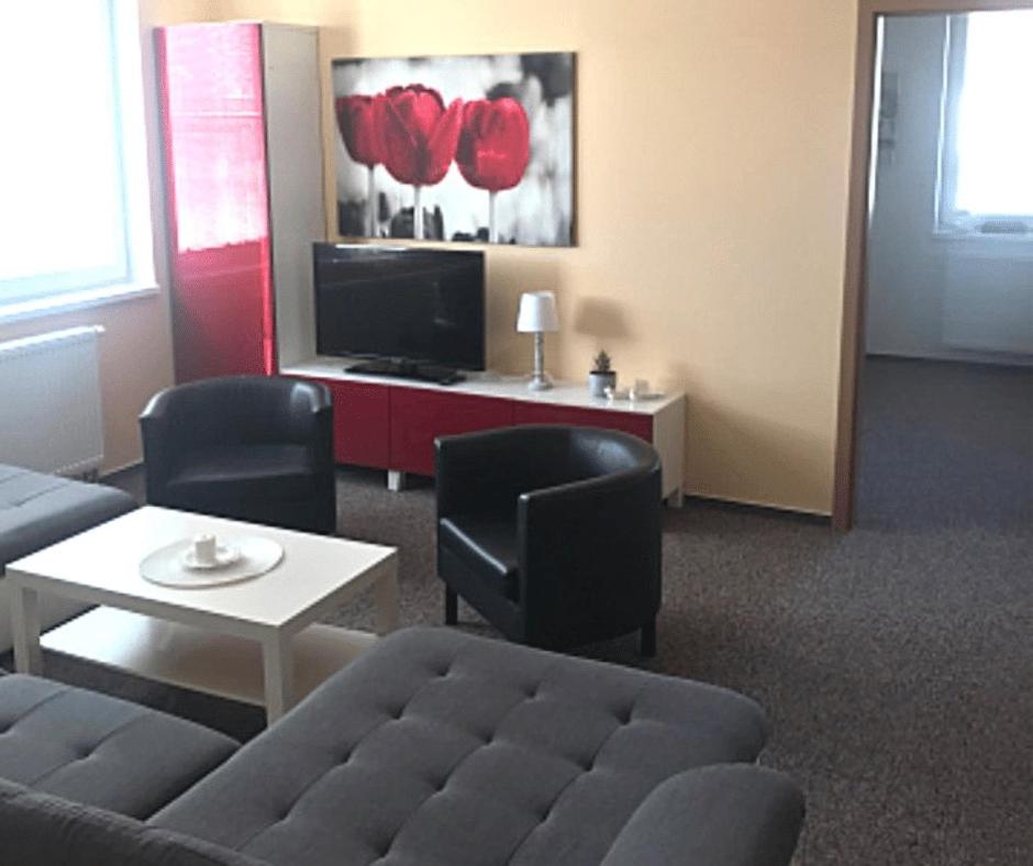 Standard Apartment photo 2