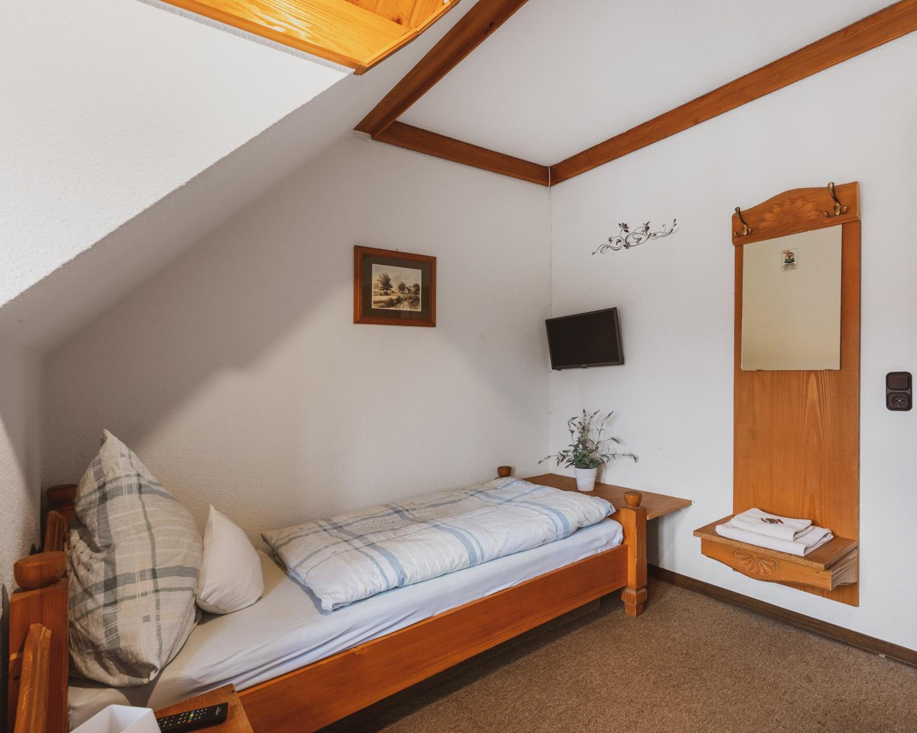 Single Room photo 3