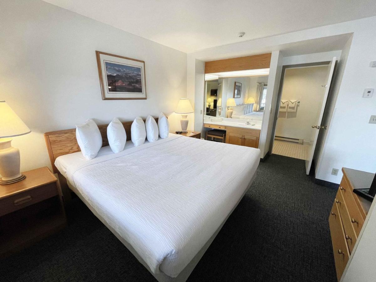 King Suite photo 1