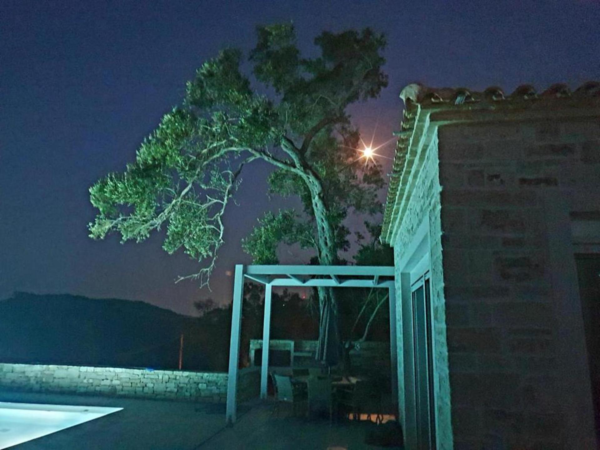 Holiday Home photo 2