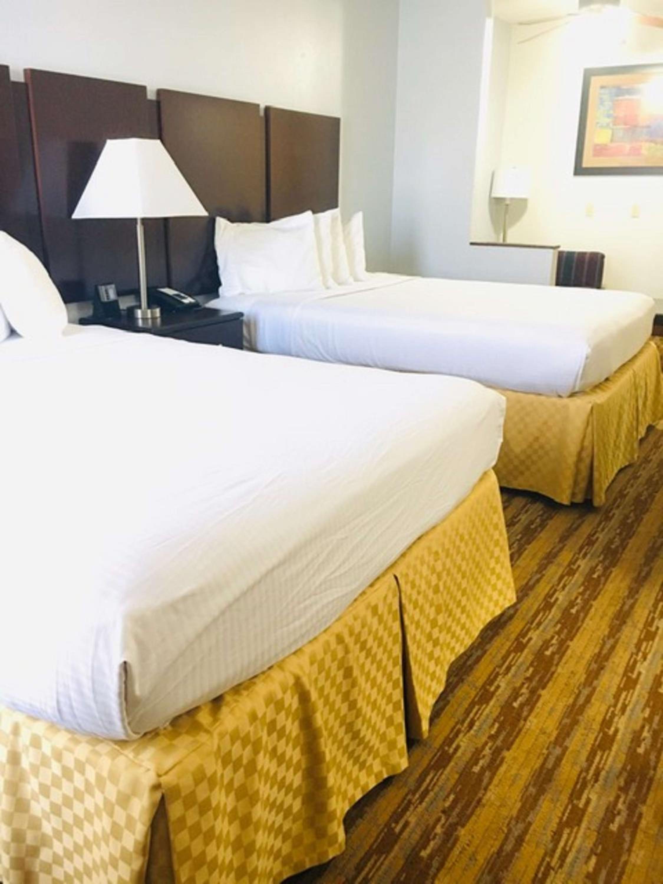Family Queen Suite with Sofa Bed - Non-Smoking