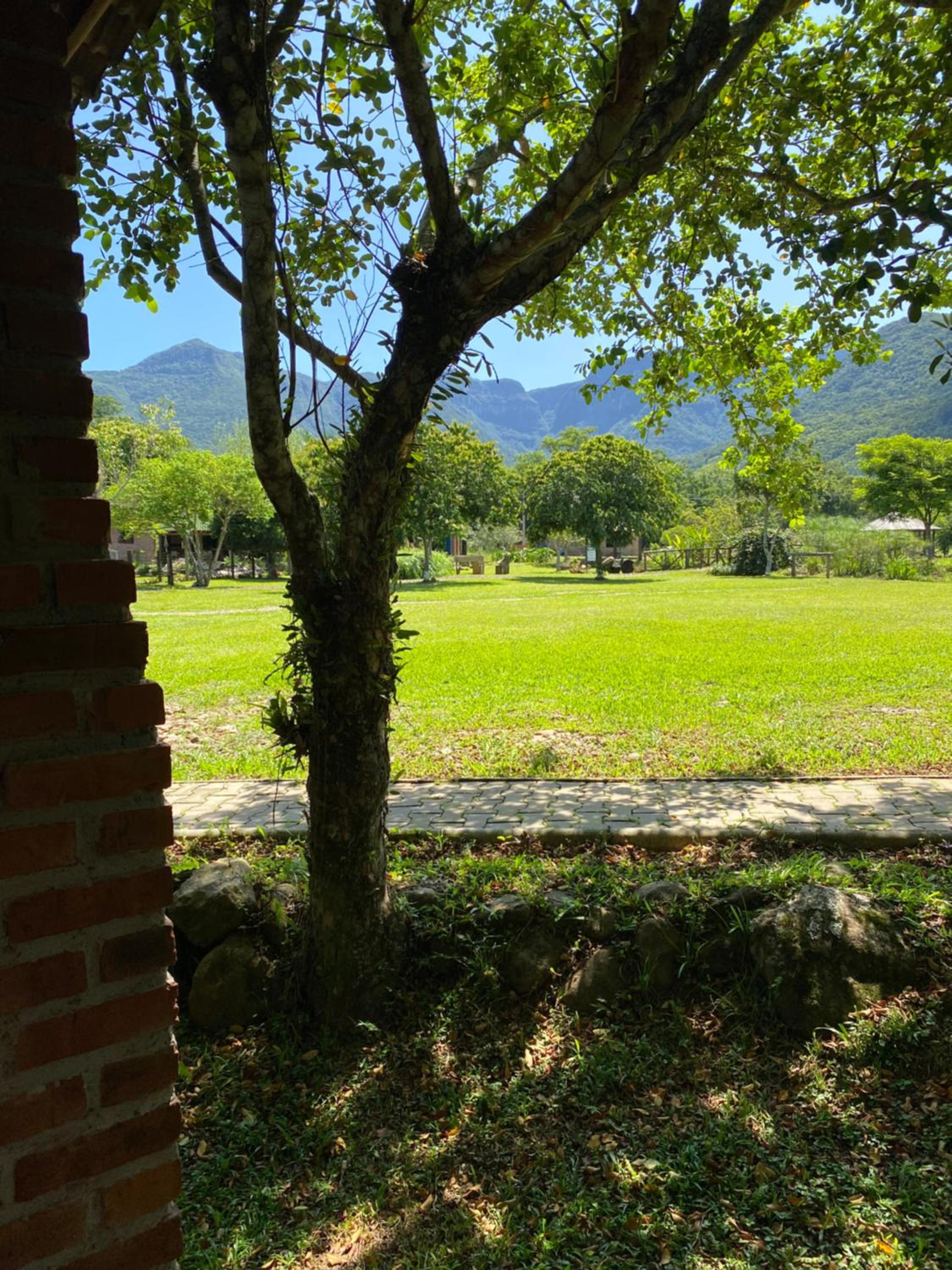 Bungalow - Photo 10
