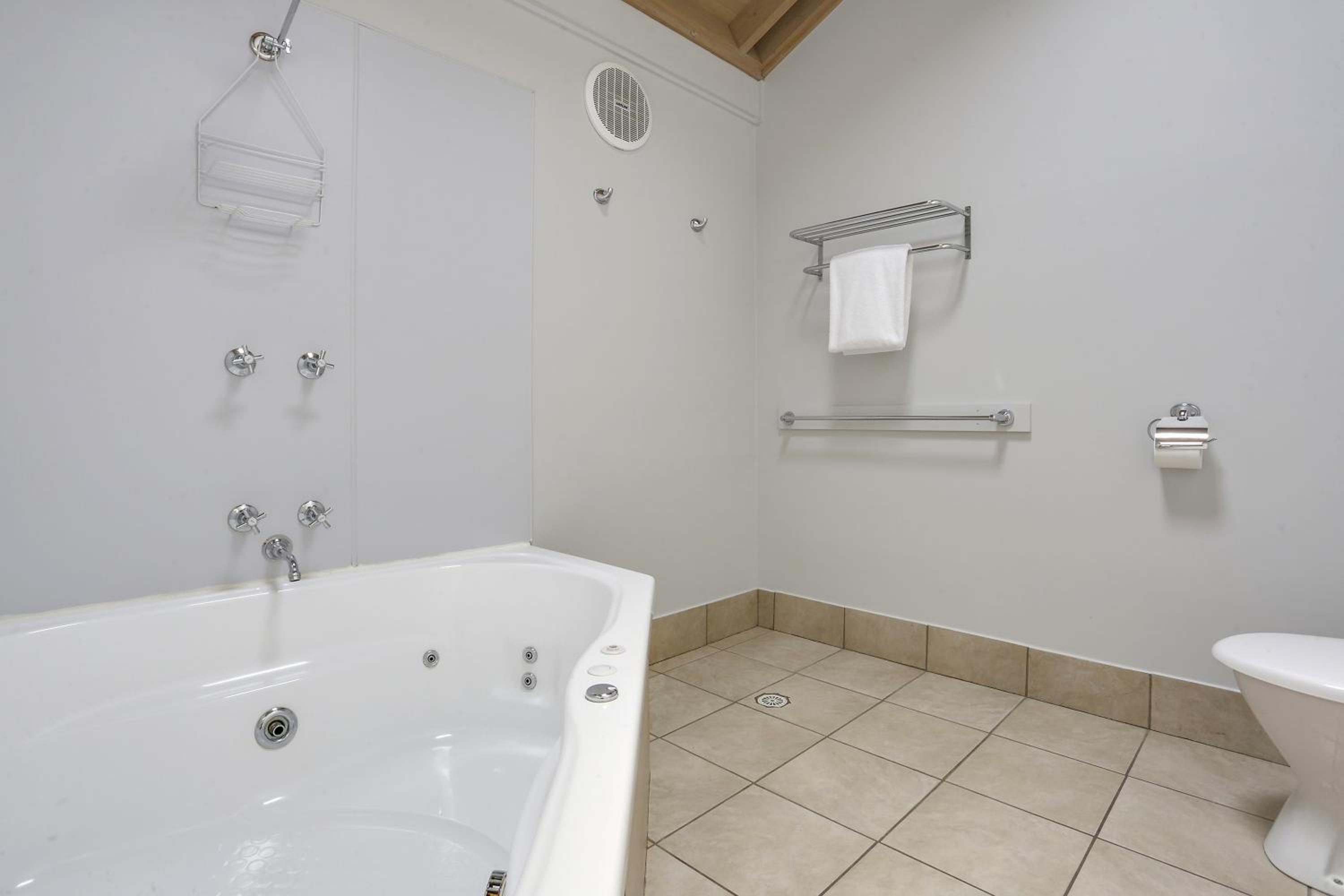 Deluxe King Suite with Spa Bath photo 2