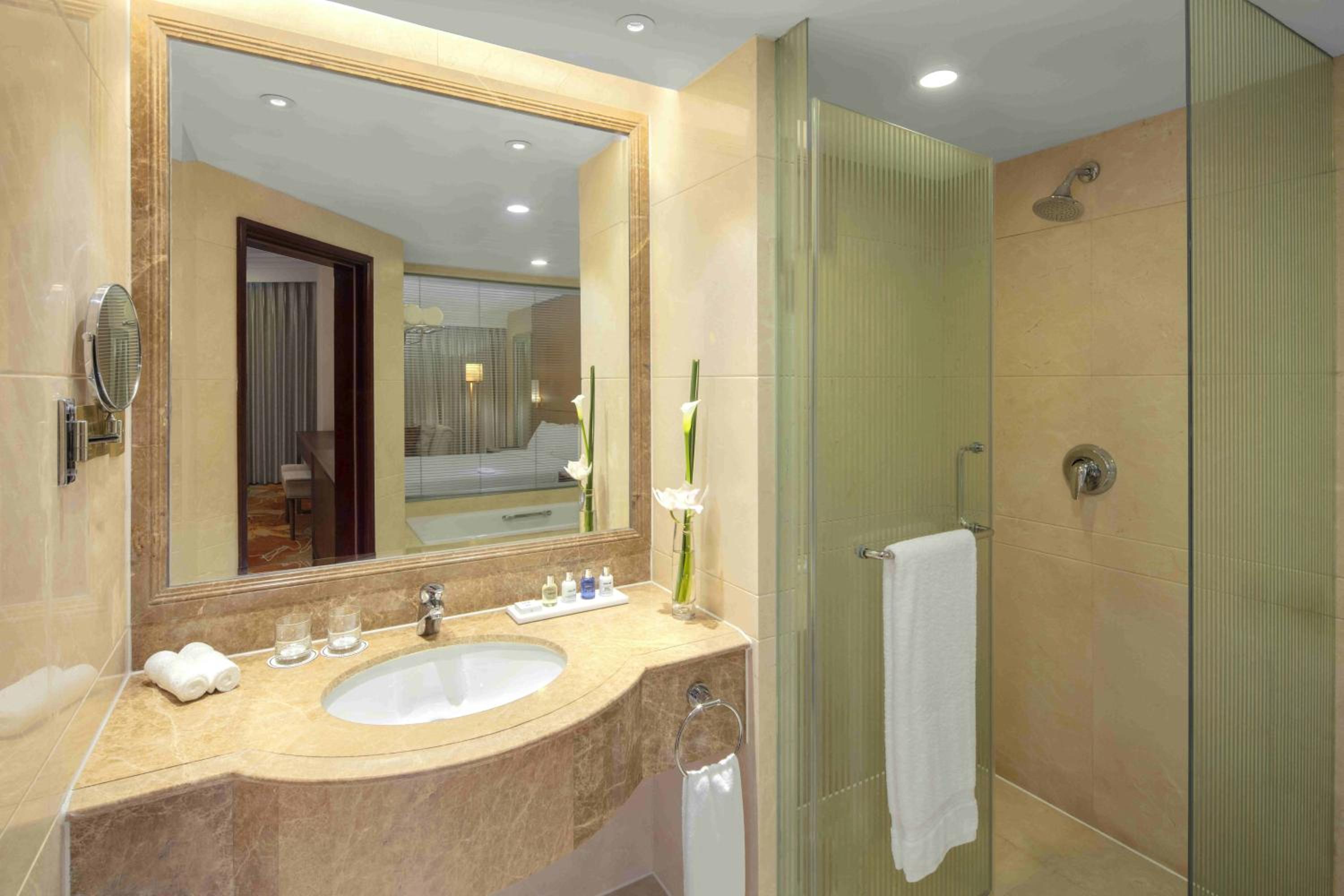 Business Class Deluxe Suite thumbnail 5