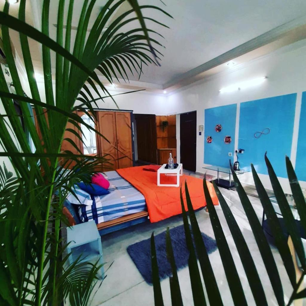 Standard King Room - Photo 1