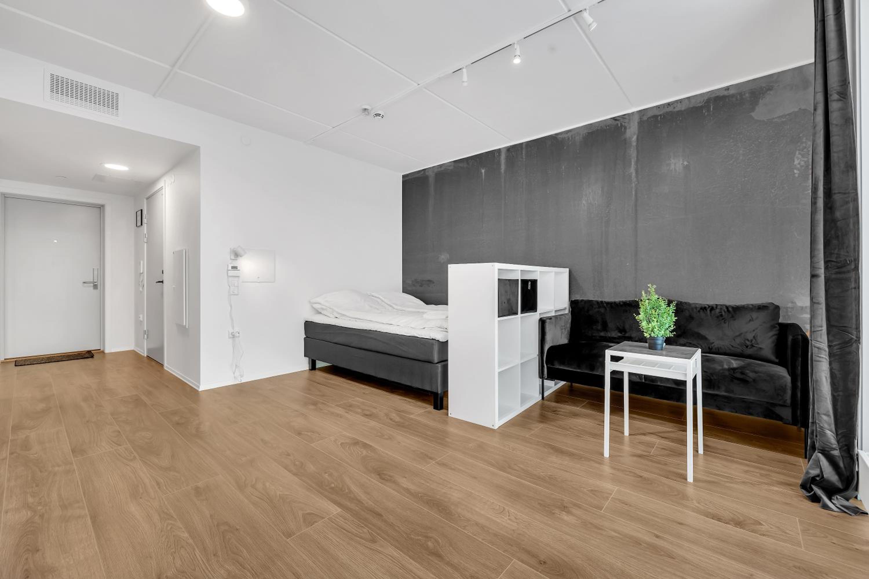Studio Apartment photo 3