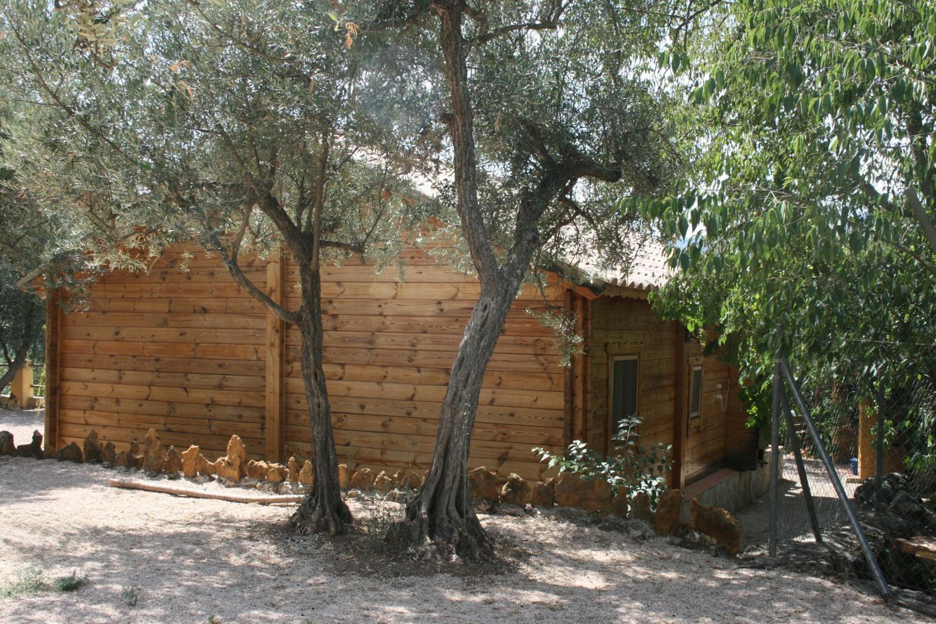 Vacation Home photo 3
