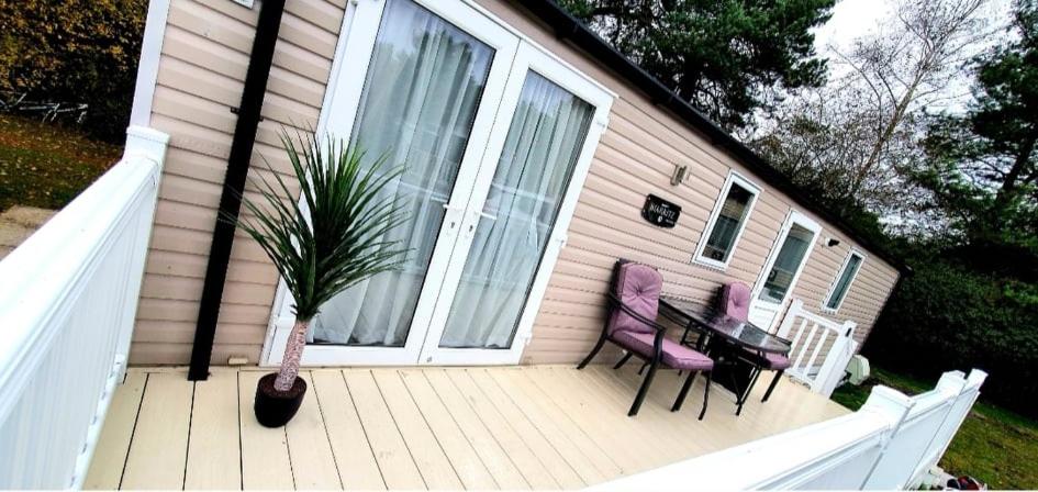 Apartment with Terrace photo 1