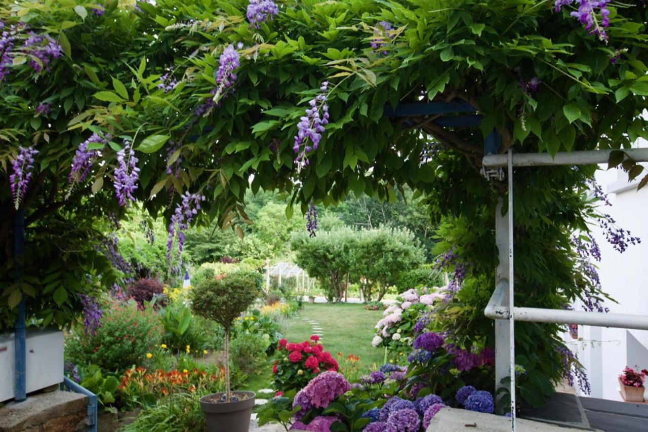 Double Room with Garden View photo 3