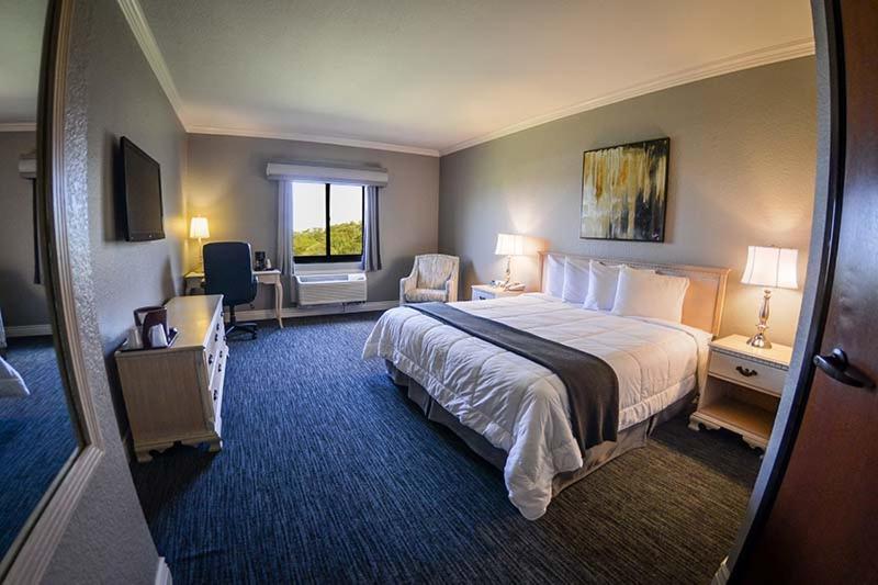 King Room with Roll-In Shower - Disability Access/Non Smoking photo 1