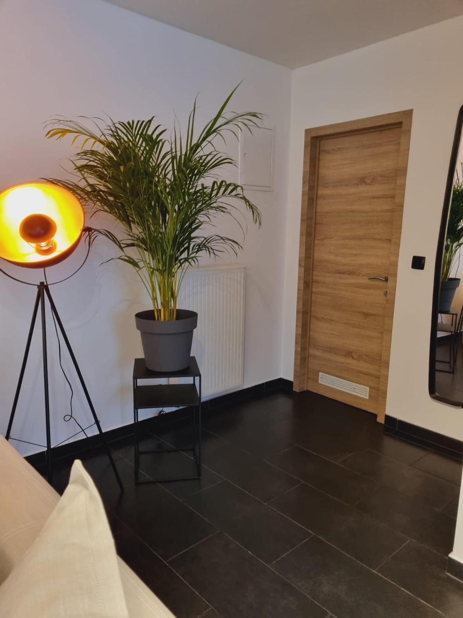 One-Bedroom Apartment - Photo 6