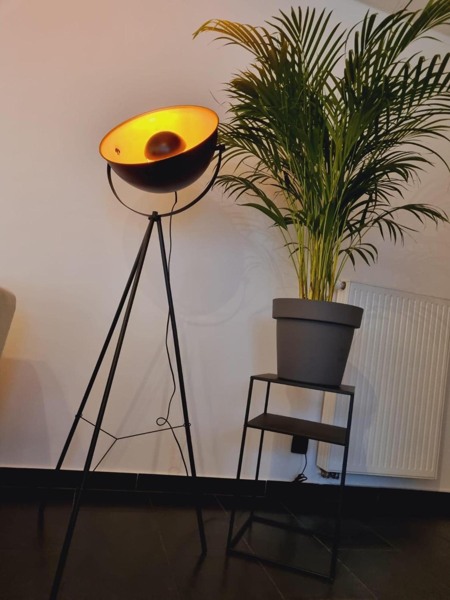 One-Bedroom Apartment - Photo 3