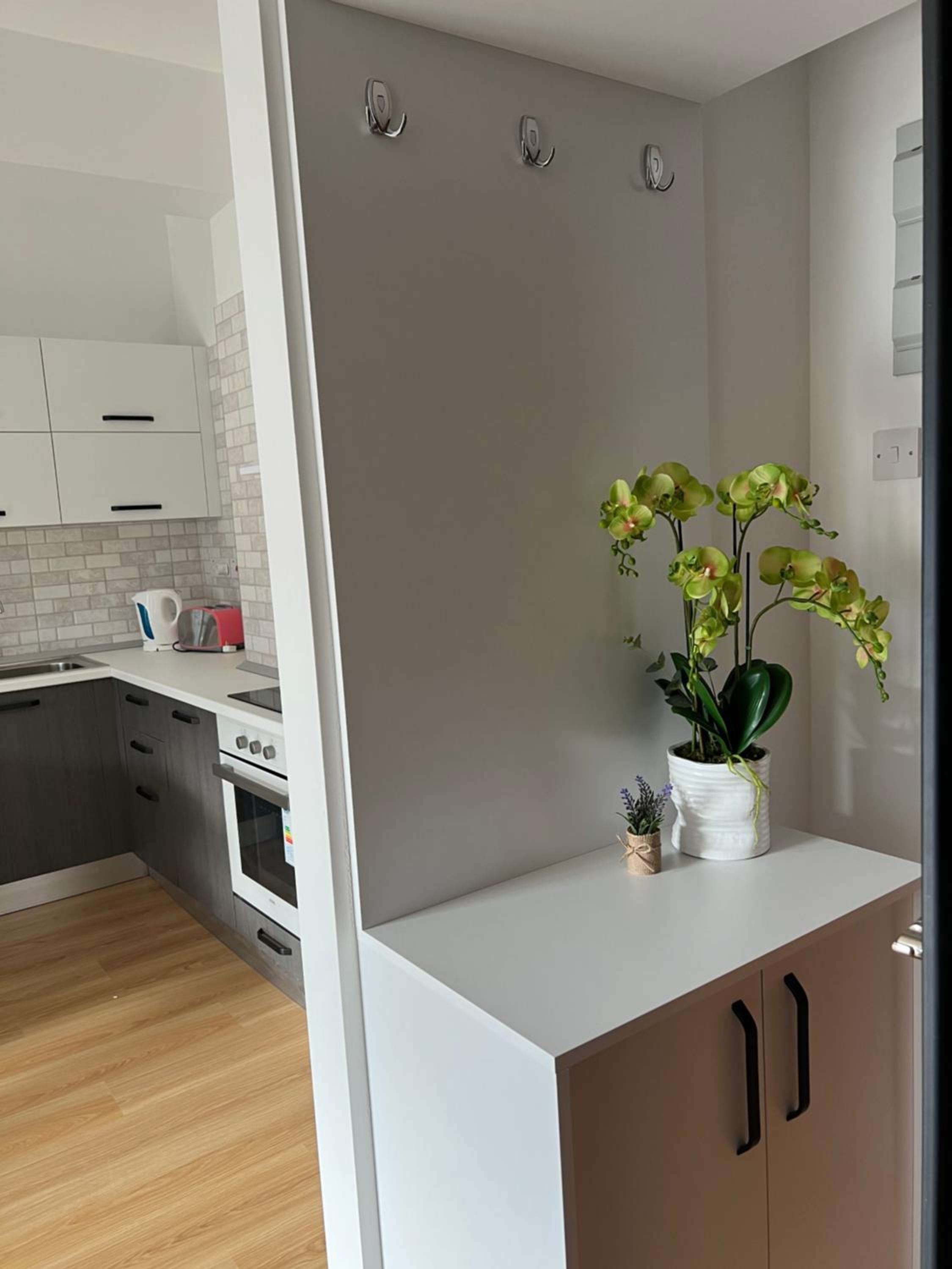 Apartment with Terrace