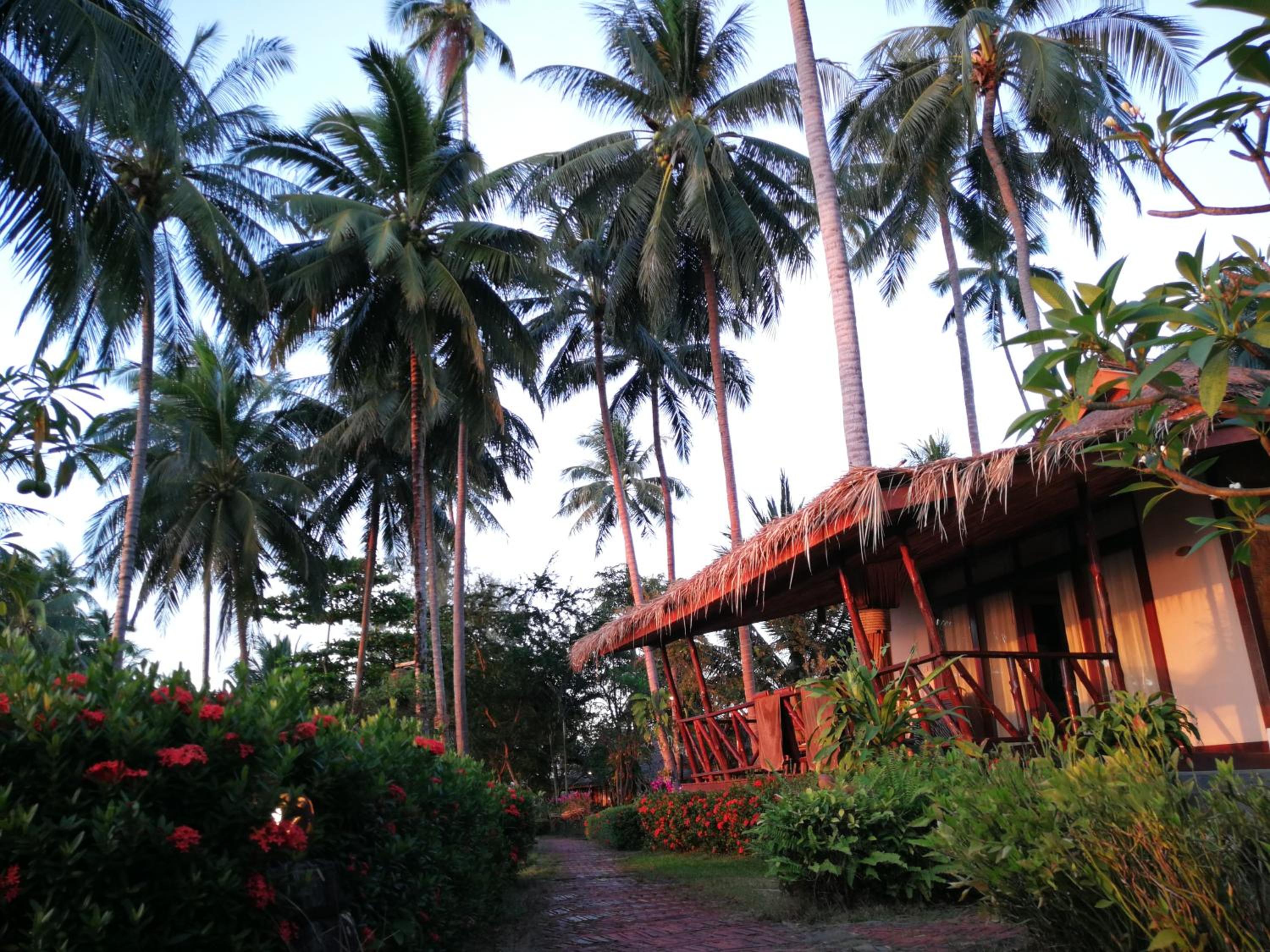 Premier Beach Access  - Photo 18